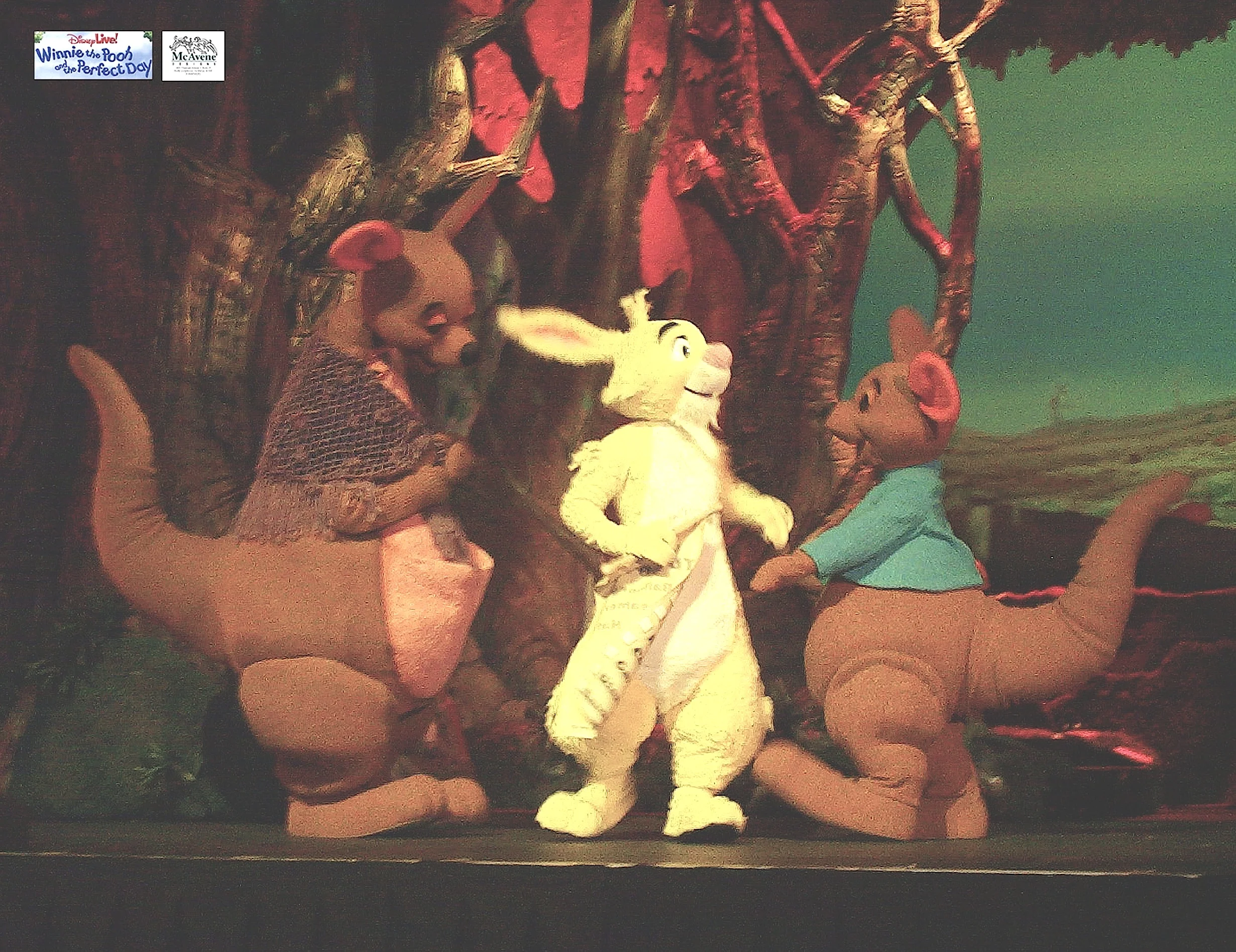 kanga and roo#3.jpg