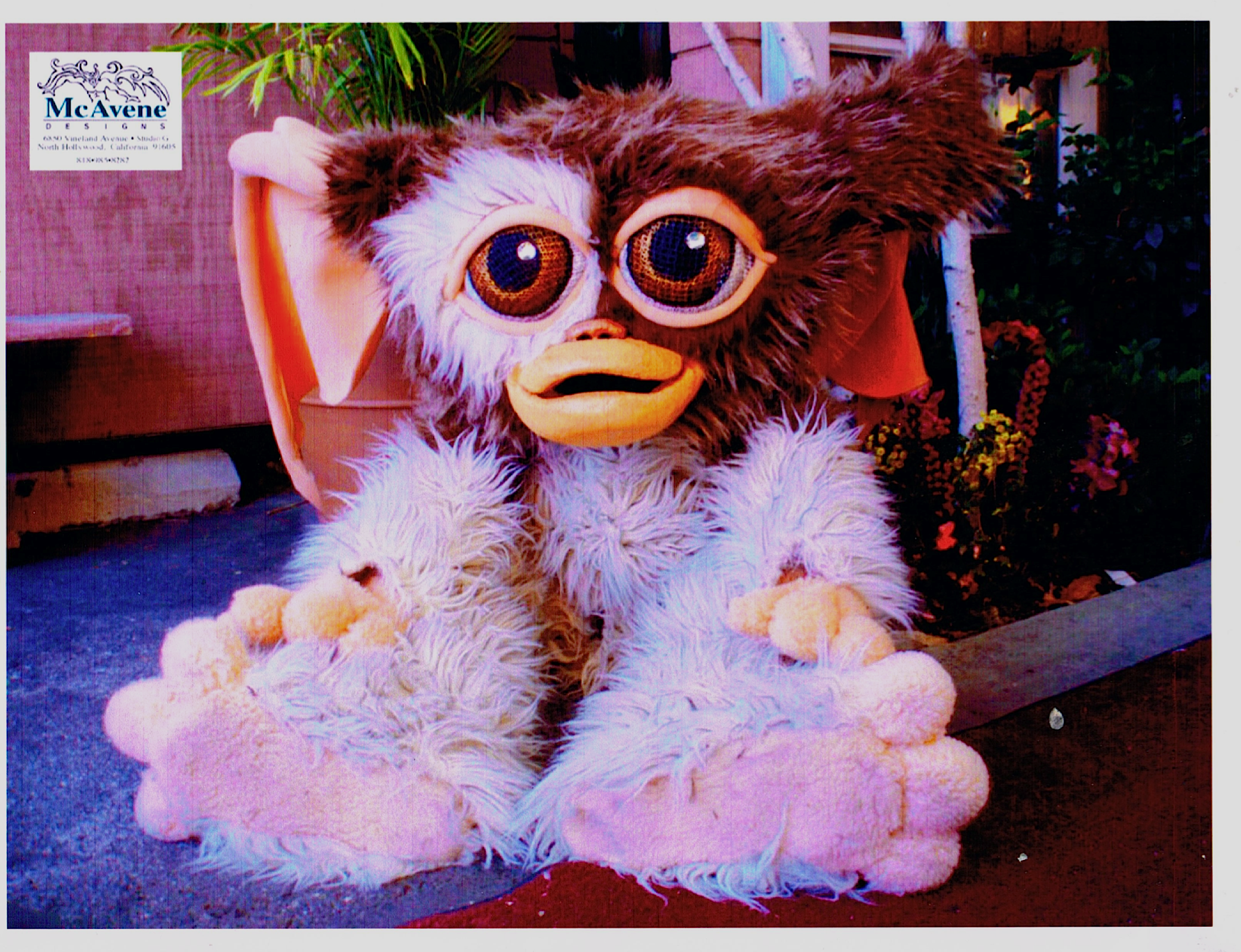 GIZMO.png