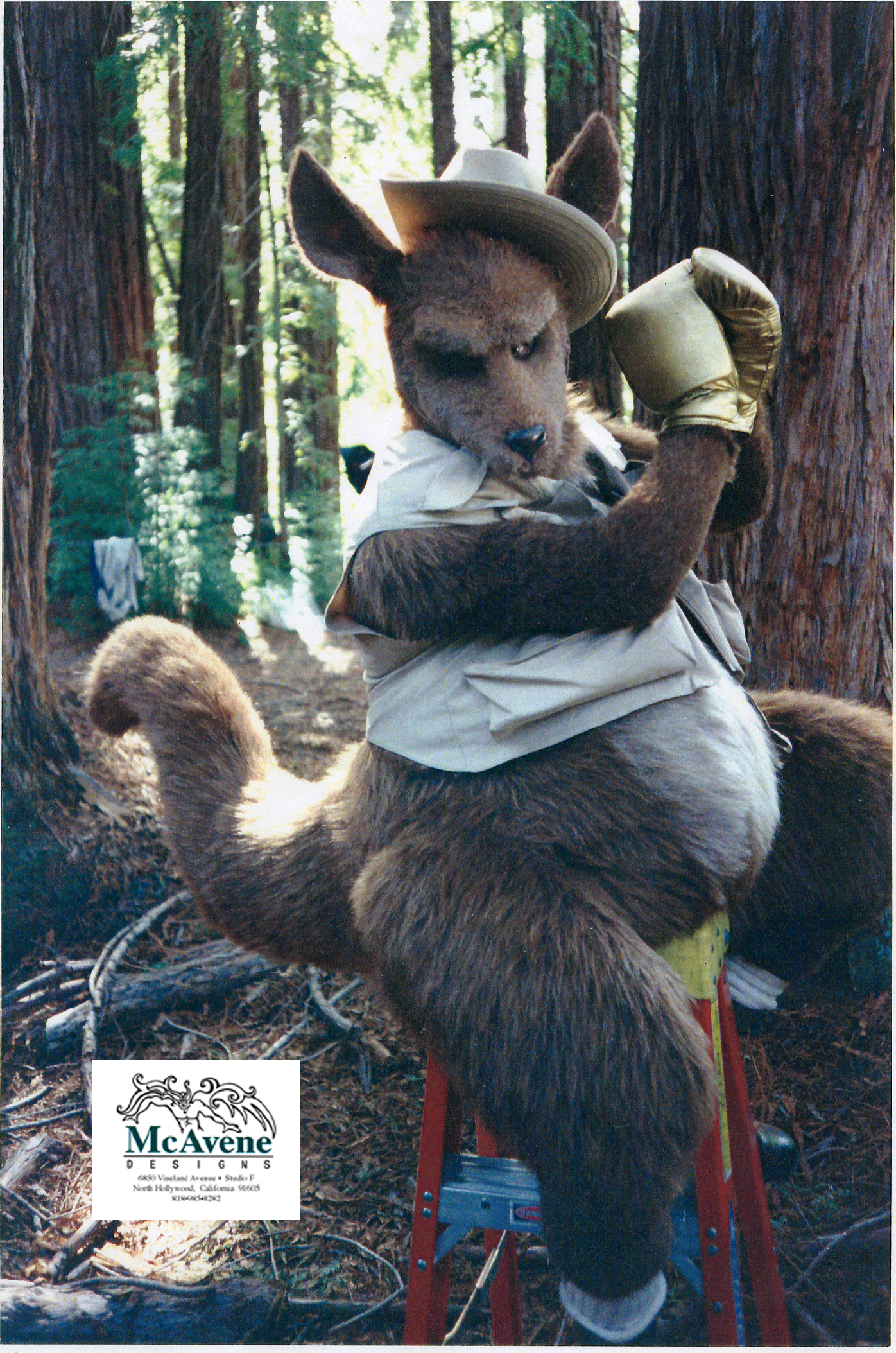 kanga-roo.png
