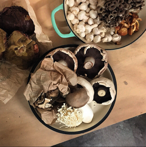 Fresh market mushrooms