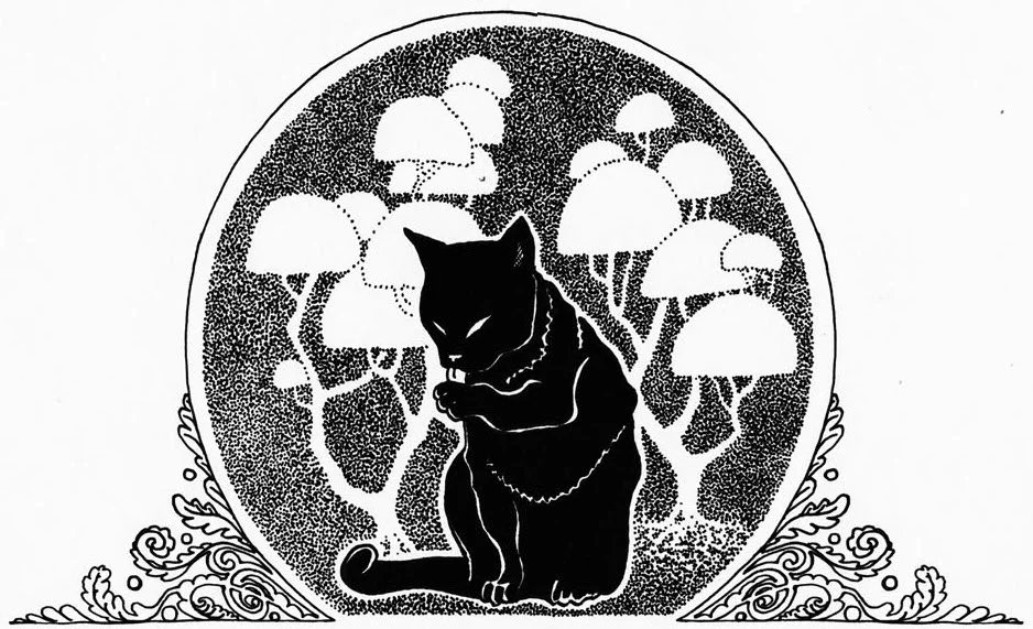 (illustration by Zhenya Yanovich)