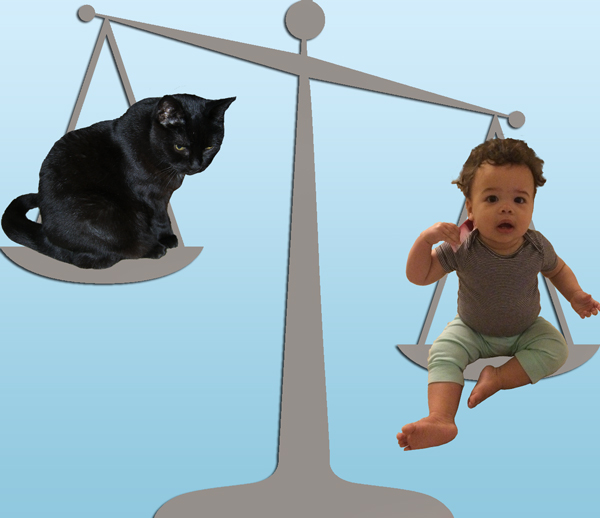 Scale image is to scale.