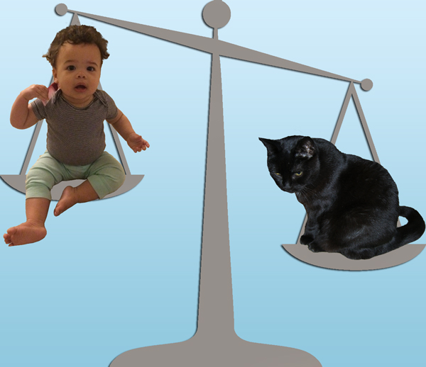It was very difficult to get them both to sit still on the scale.