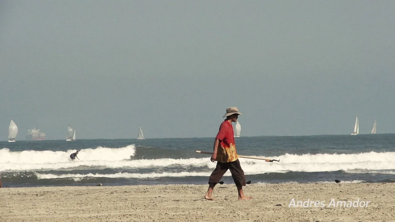 Festivalma - DM9 - Netshoes