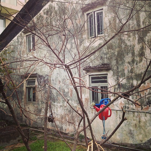 71 watering can copy.jpg