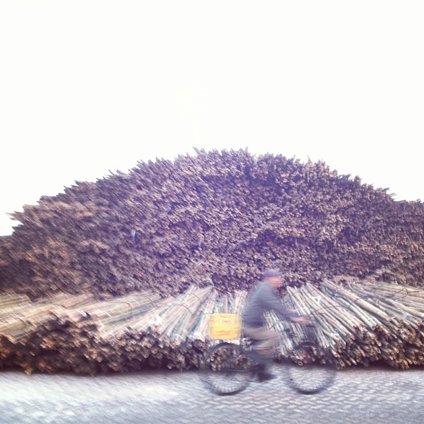83 bike and bamboo copy.jpg