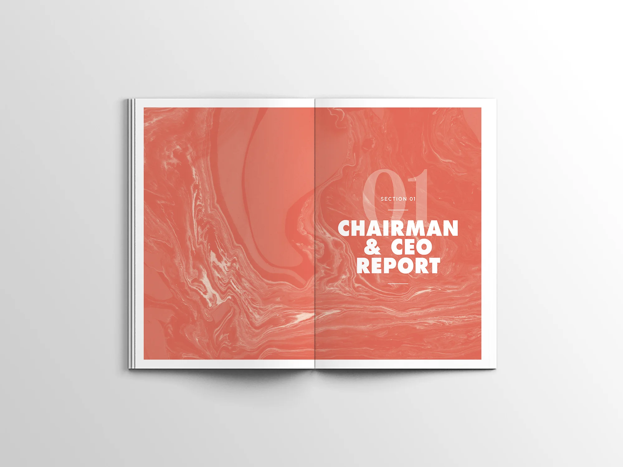 Annual-Report---Different-Angles---Mockup-01-2.jpg