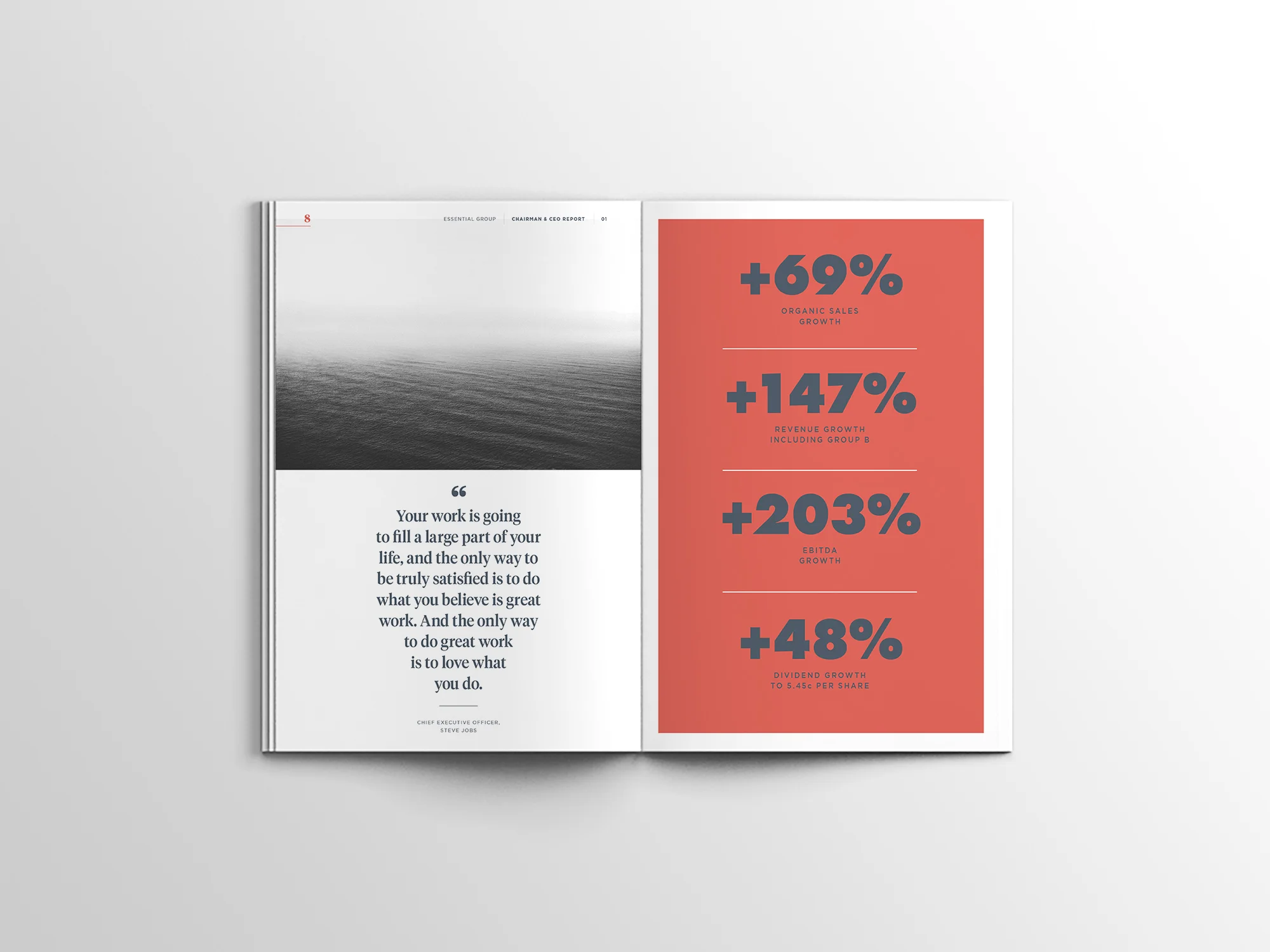 Annual-Report---Different-Angles---Mockup-01-4.jpg