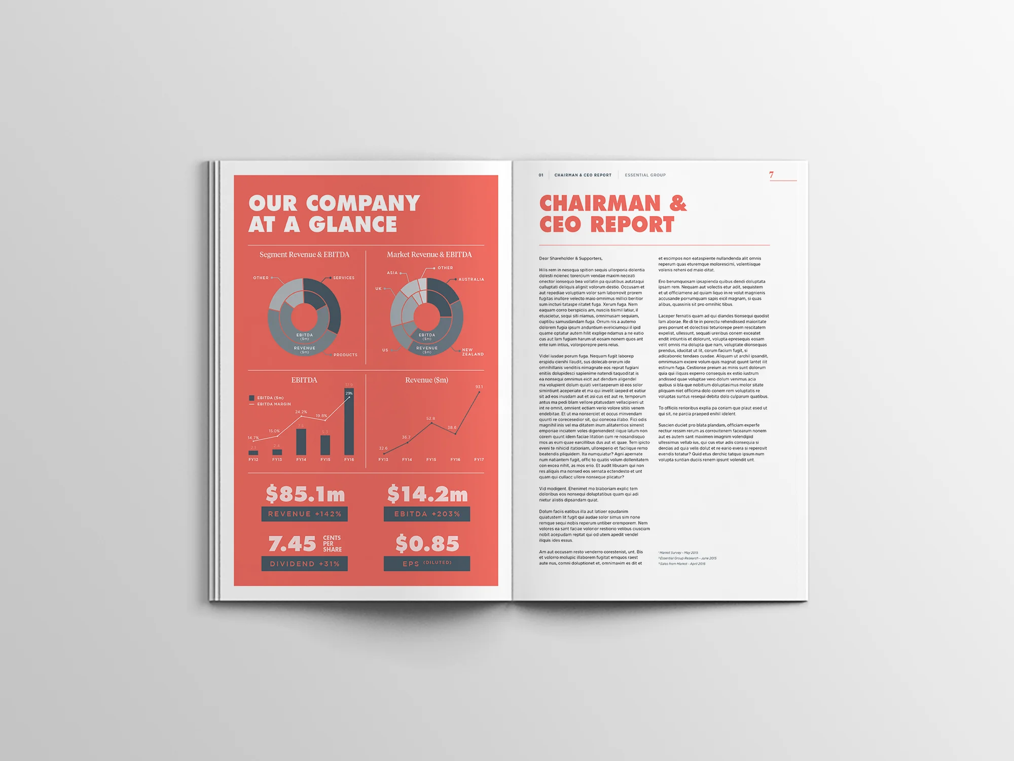 Annual-Report---Different-Angles---Mockup-01-n.jpg