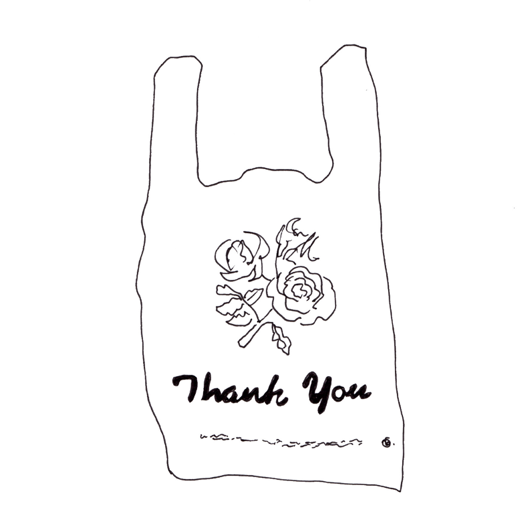 Thank you bag.jpg