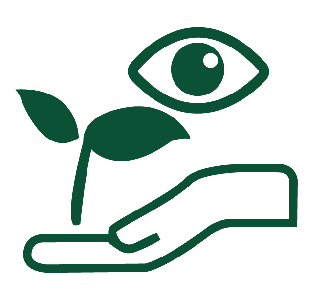 01Website-Graphics_RC-vision11.png