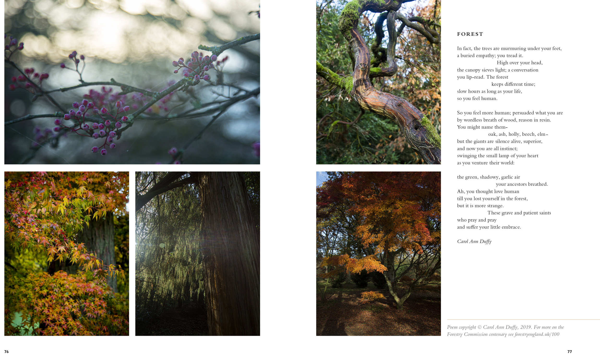 BloomMag_Issue4_Trees-2.jpg