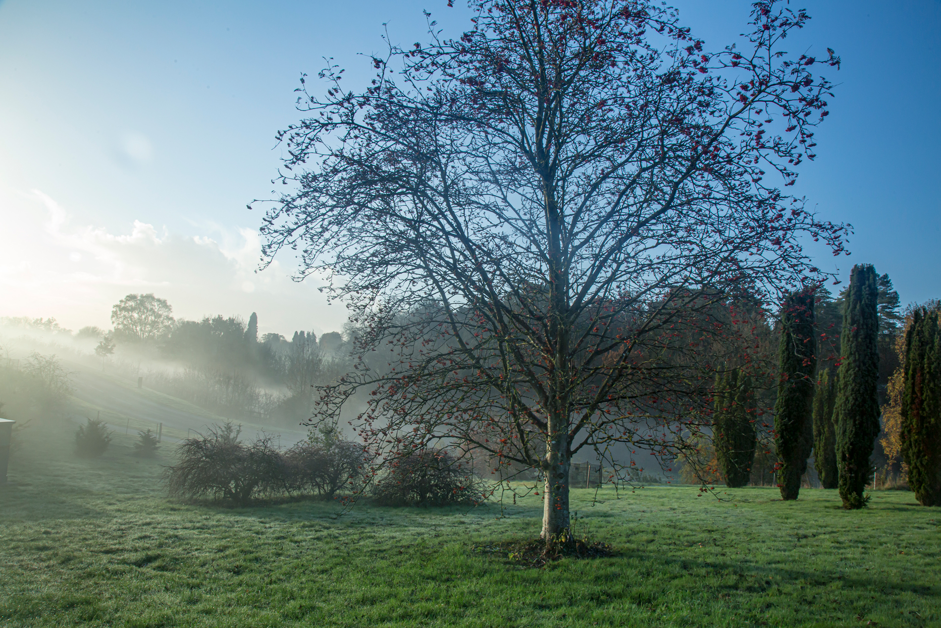 Westonbirt_GD3C7795_RG.jpg