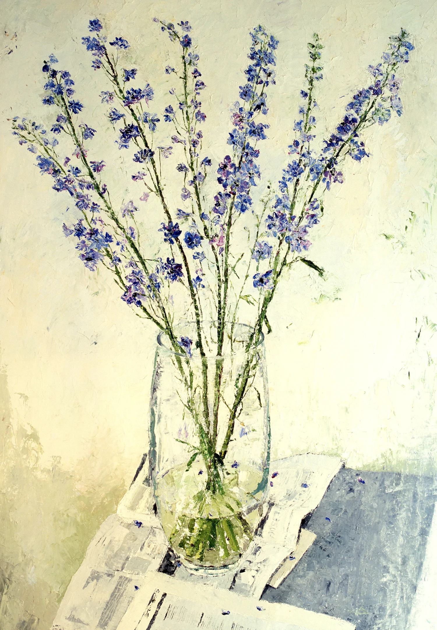 Delphiniums