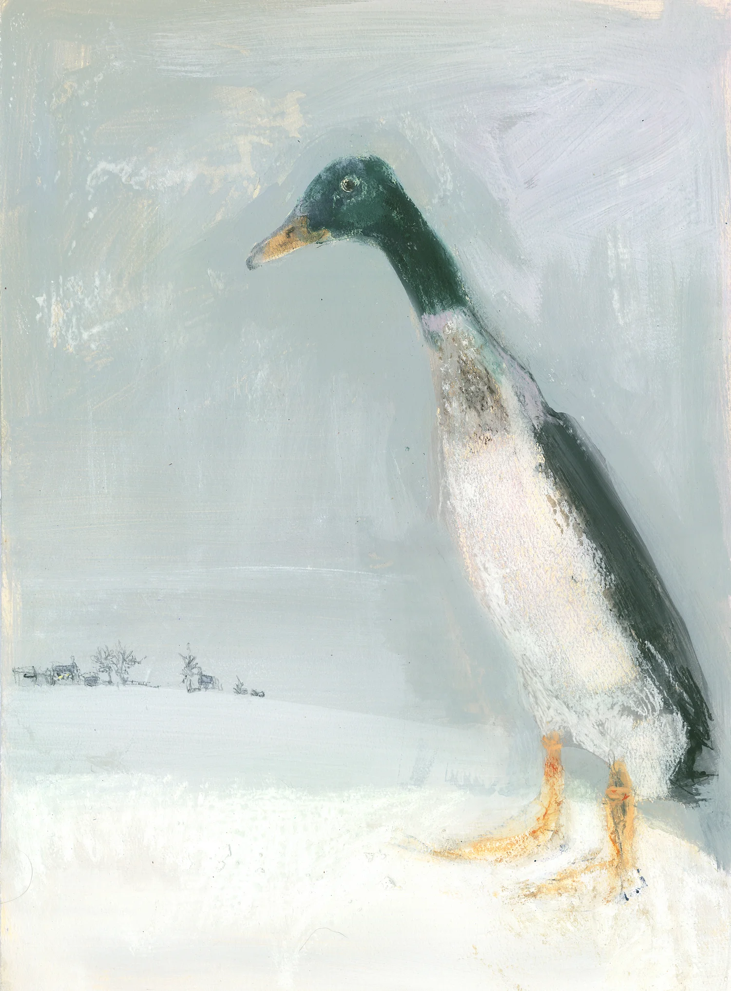 Snow Duck