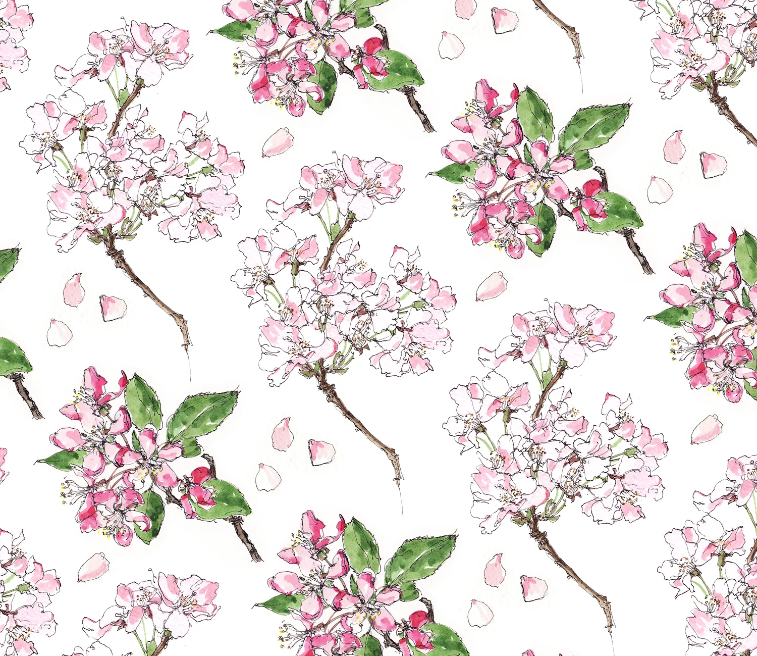 blossom.jpg