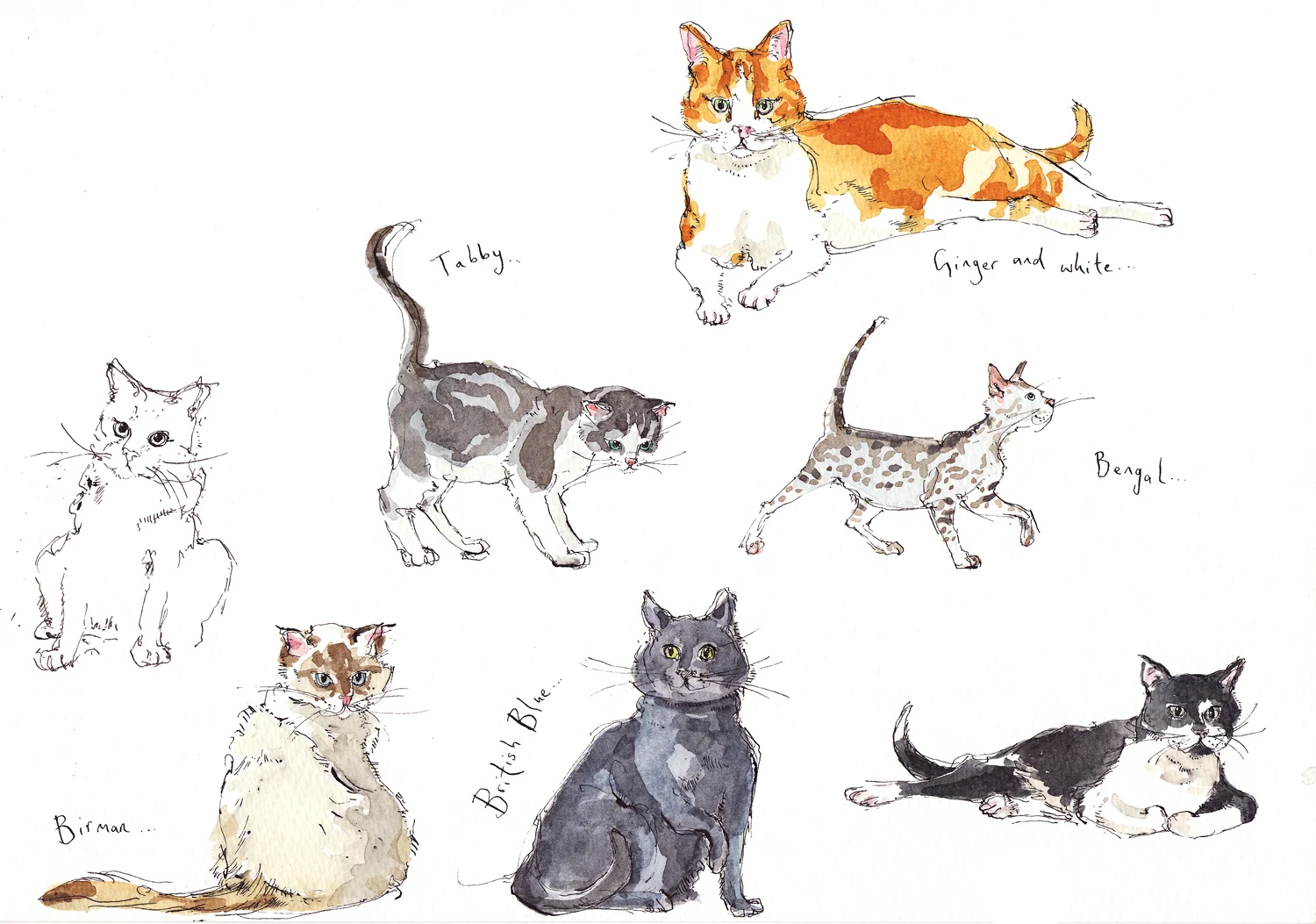 cats.jpg