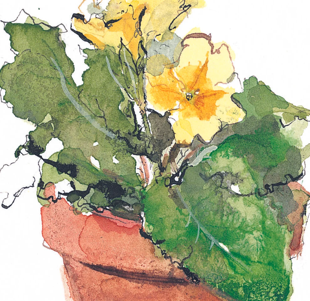 Madeleine Floyd About Madeleine Floyd