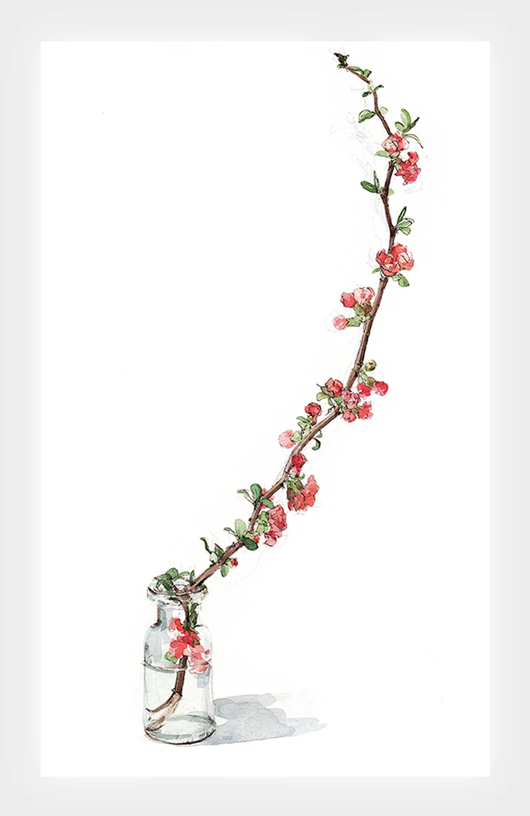 INDEX japonica.jpg
