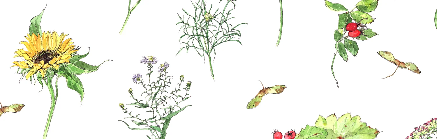 AUTUMN FLORAL CROP.jpg
