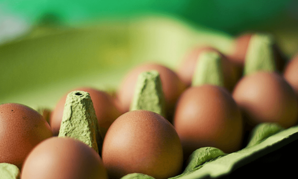 Project Management Cookbook Eggs Banner (NoText) min.png