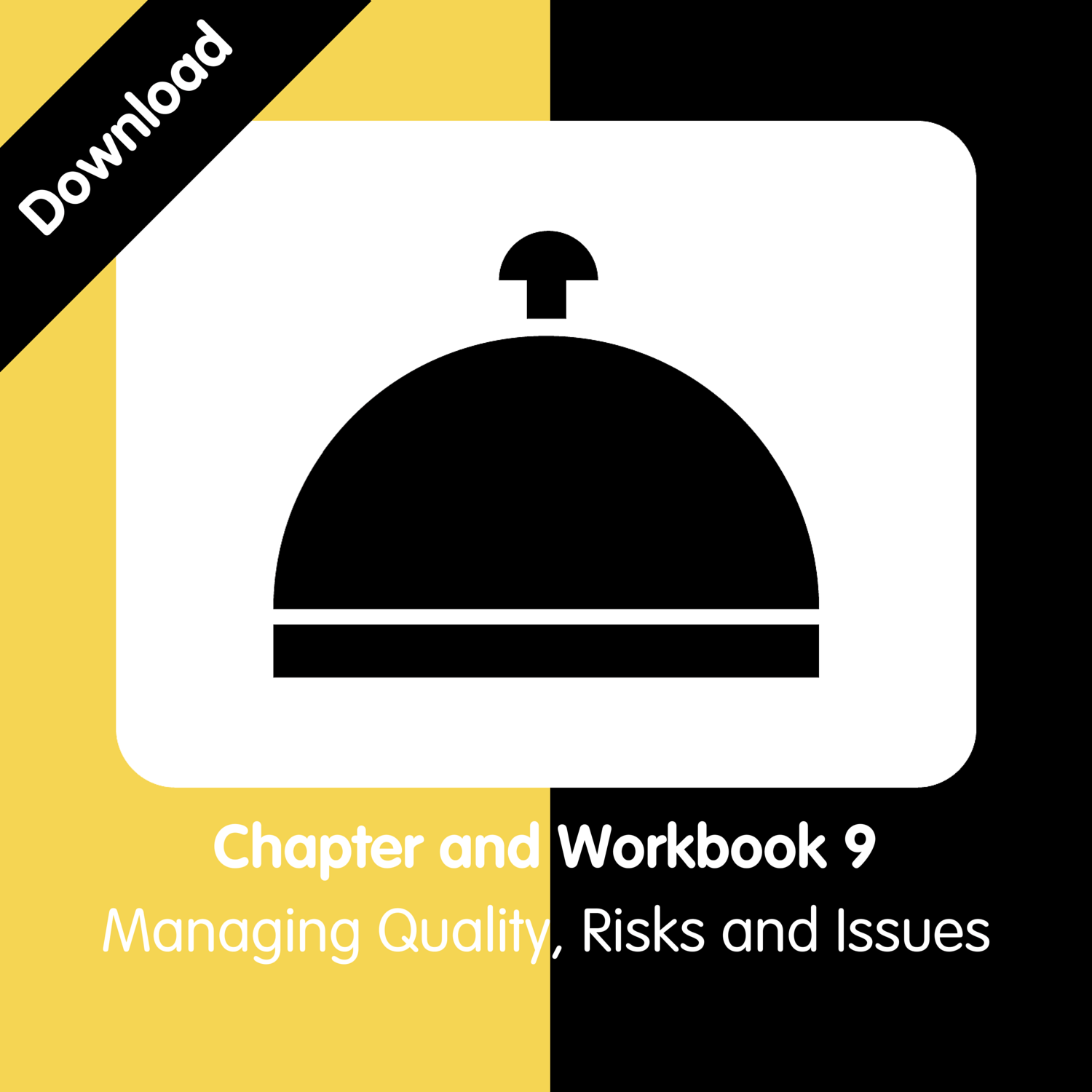 Chapter 9 + Workbook 9 -&nbsp;Quality, Risks and Issues£5.00