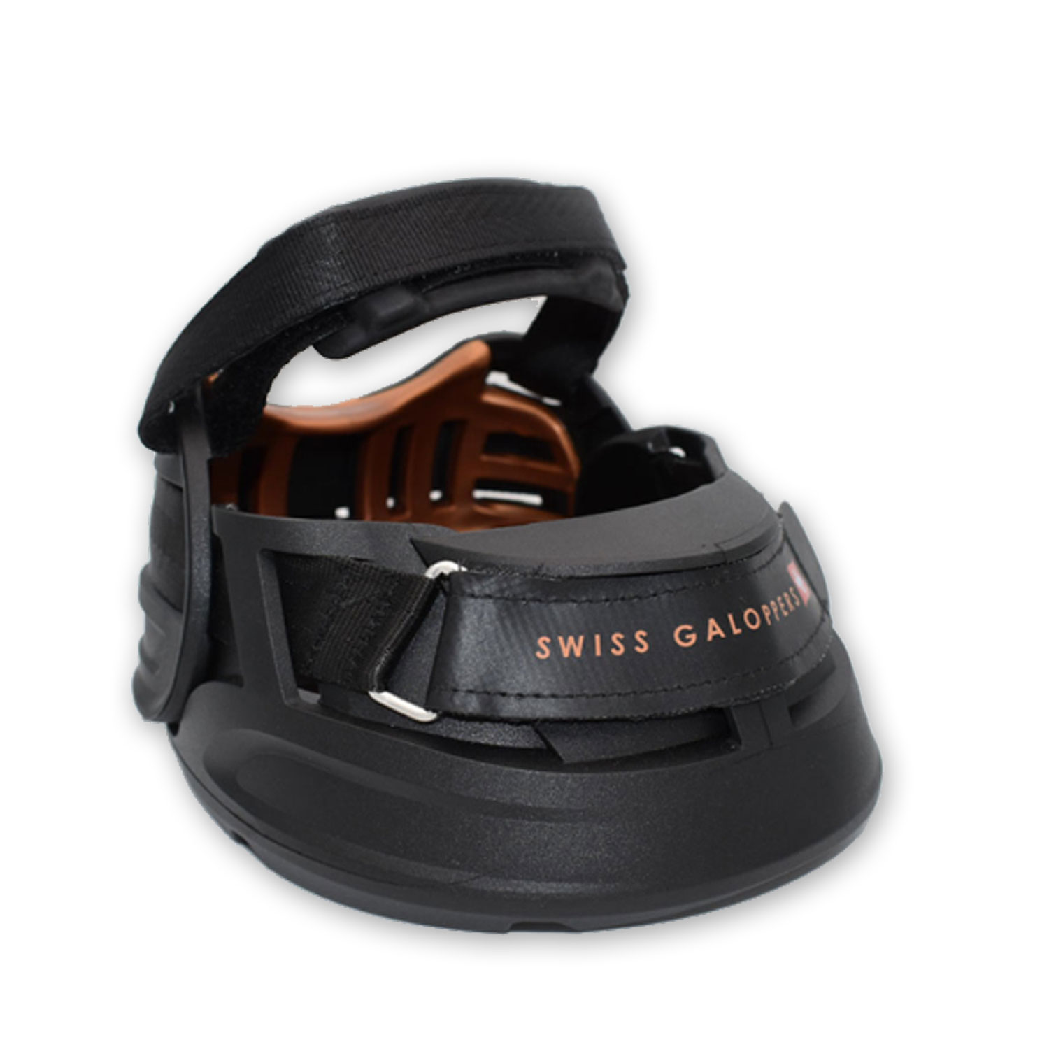 swiss-galoppers.seite.jpg