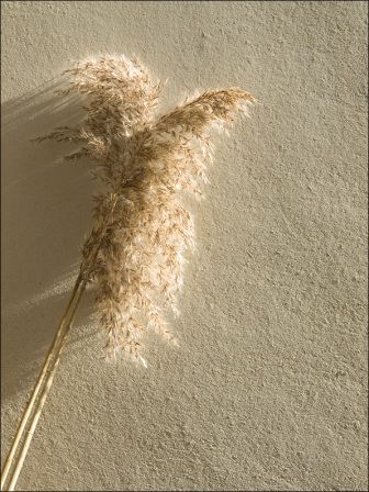 EXTERNAL LIME RENDER.jpg