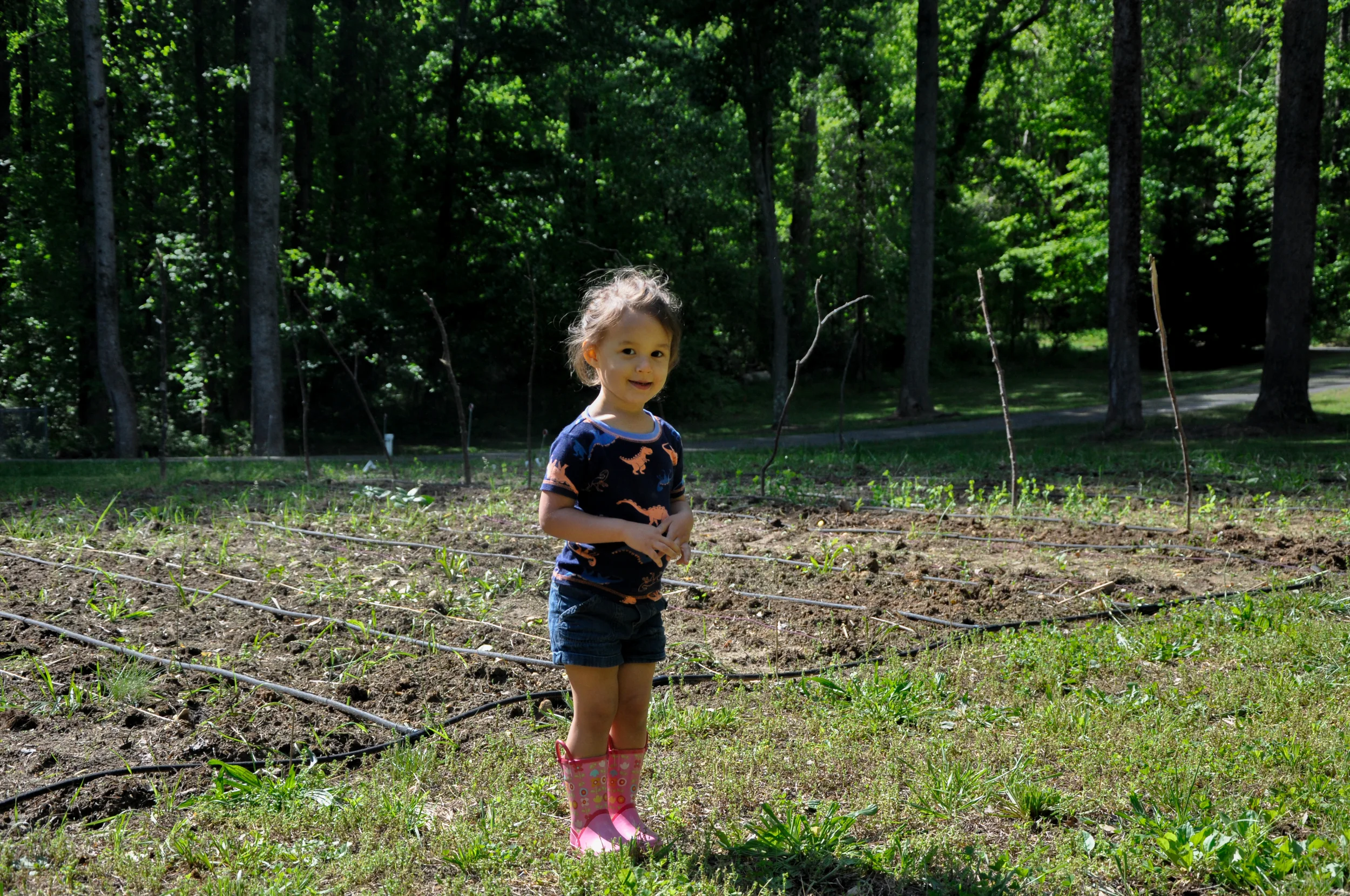 hazel by the garden patch.jpg