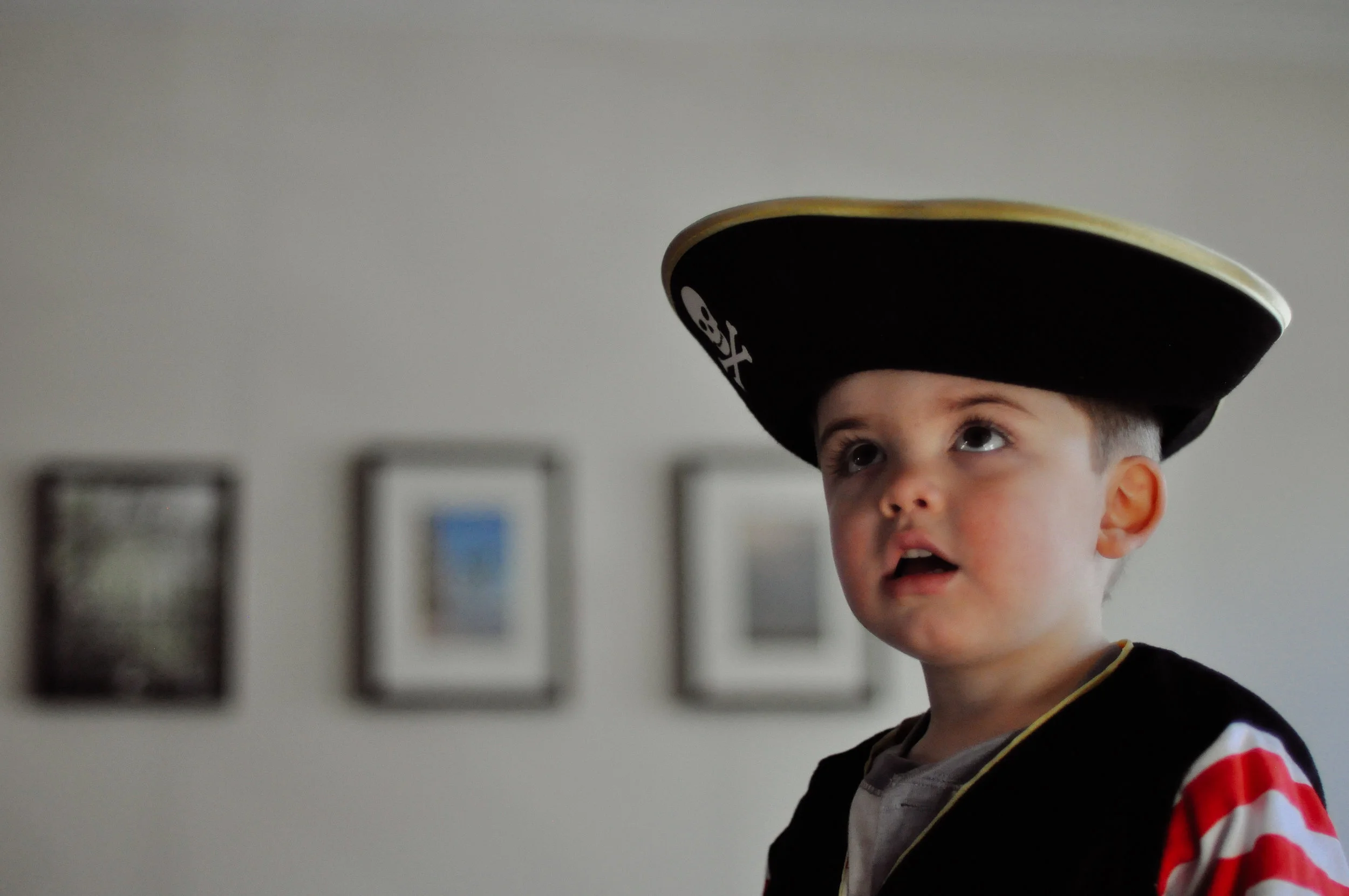 pirate adventures