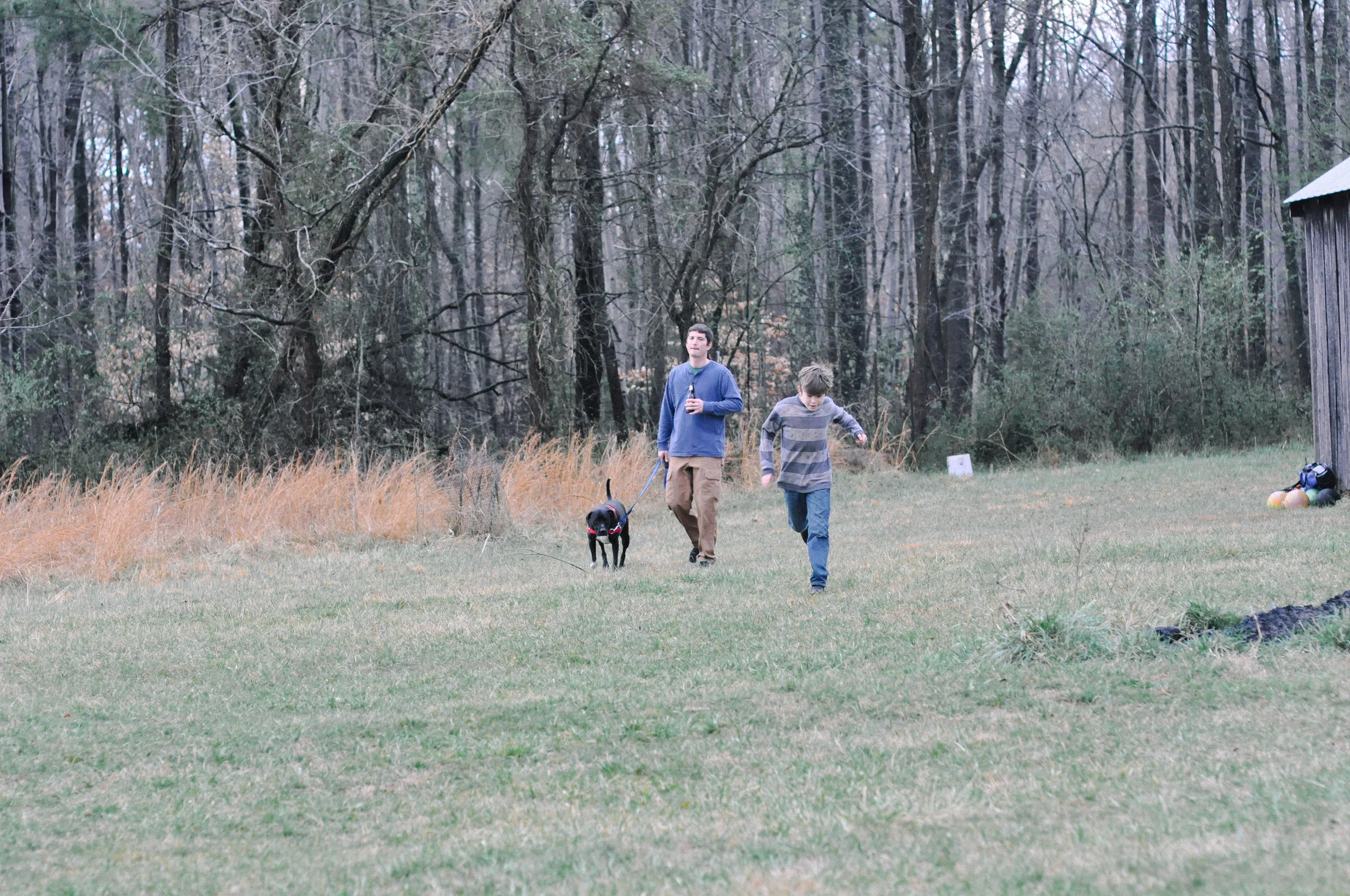 redtree farmstead boys and dog.jpg