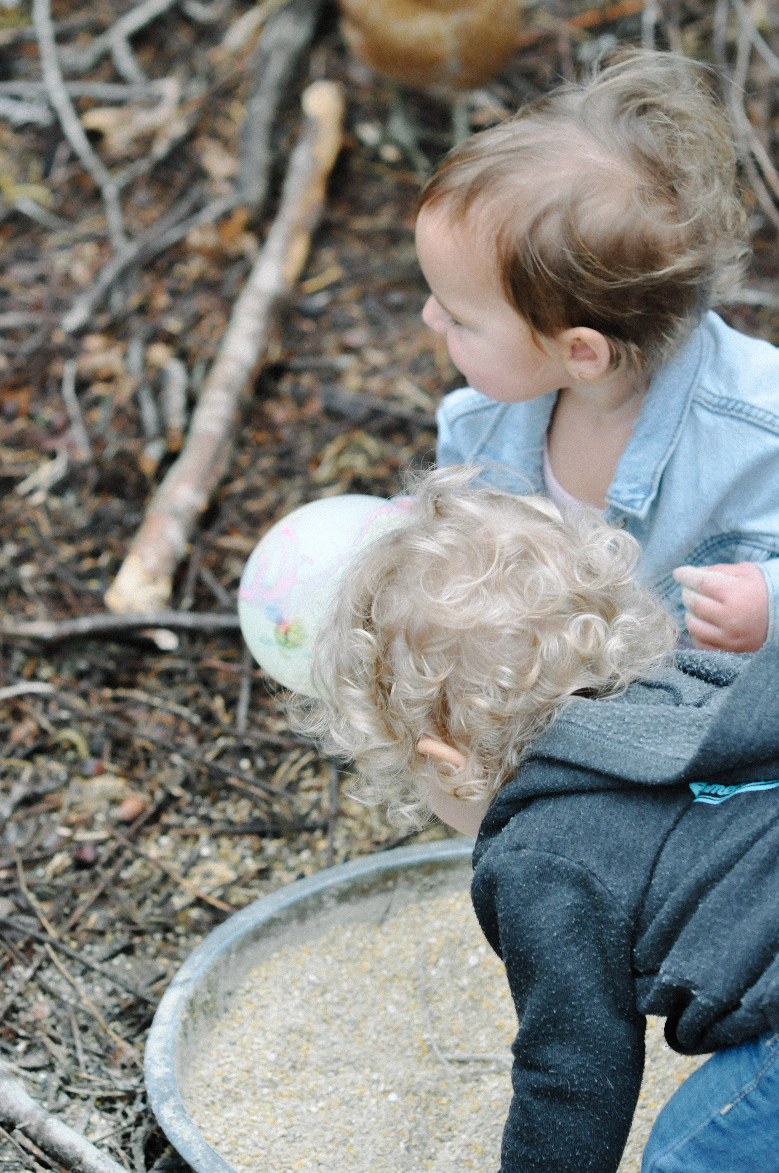 redtree farmstead chicken feed and baby hairs.jpg