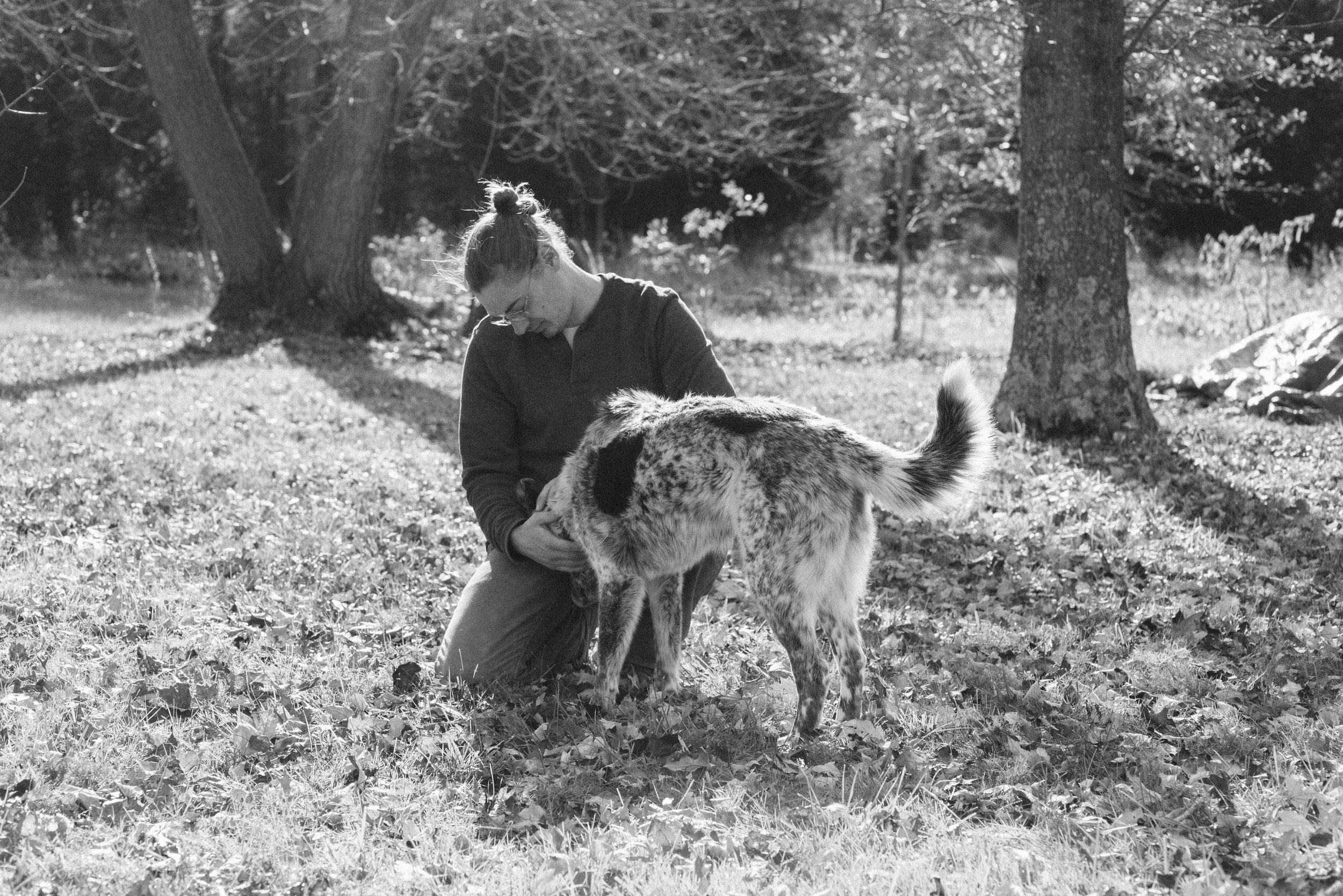 at redtree farmstead best friend.jpg