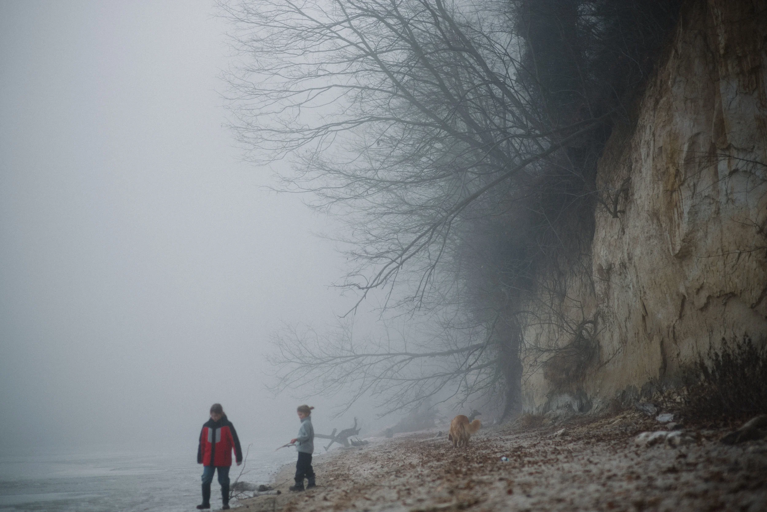 foggy beach-12.jpg