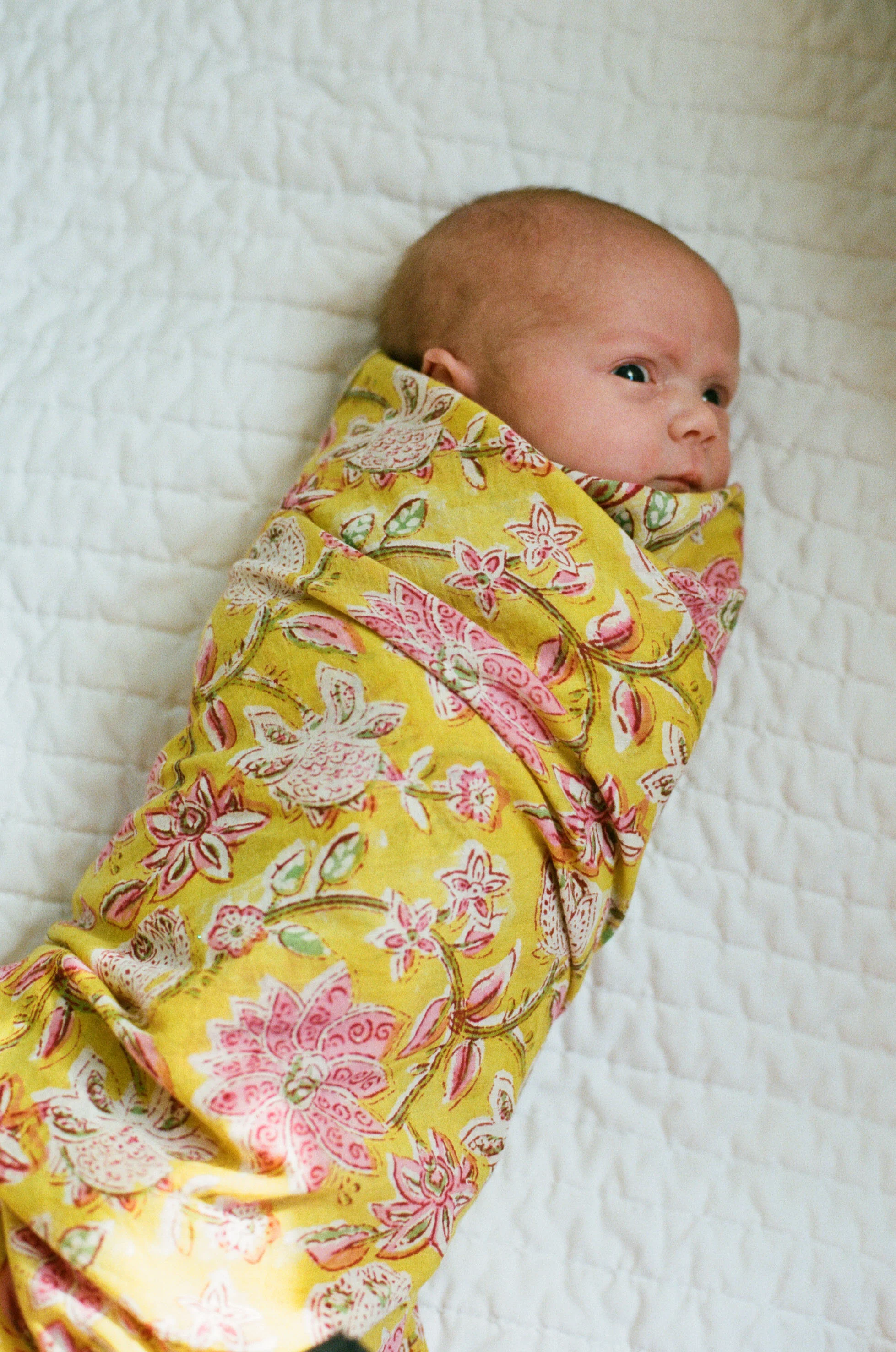 newborn session-8.jpg