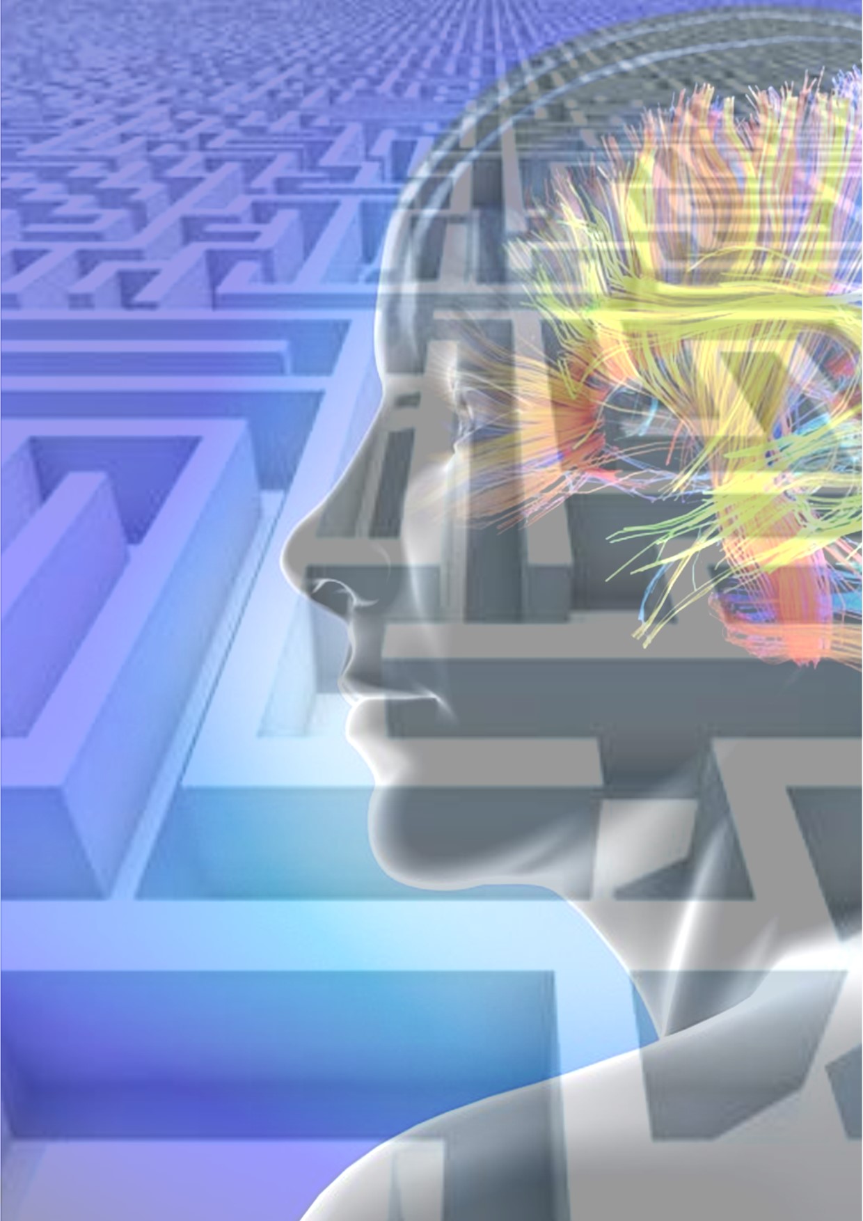 Woman in Mind internet image.jpg