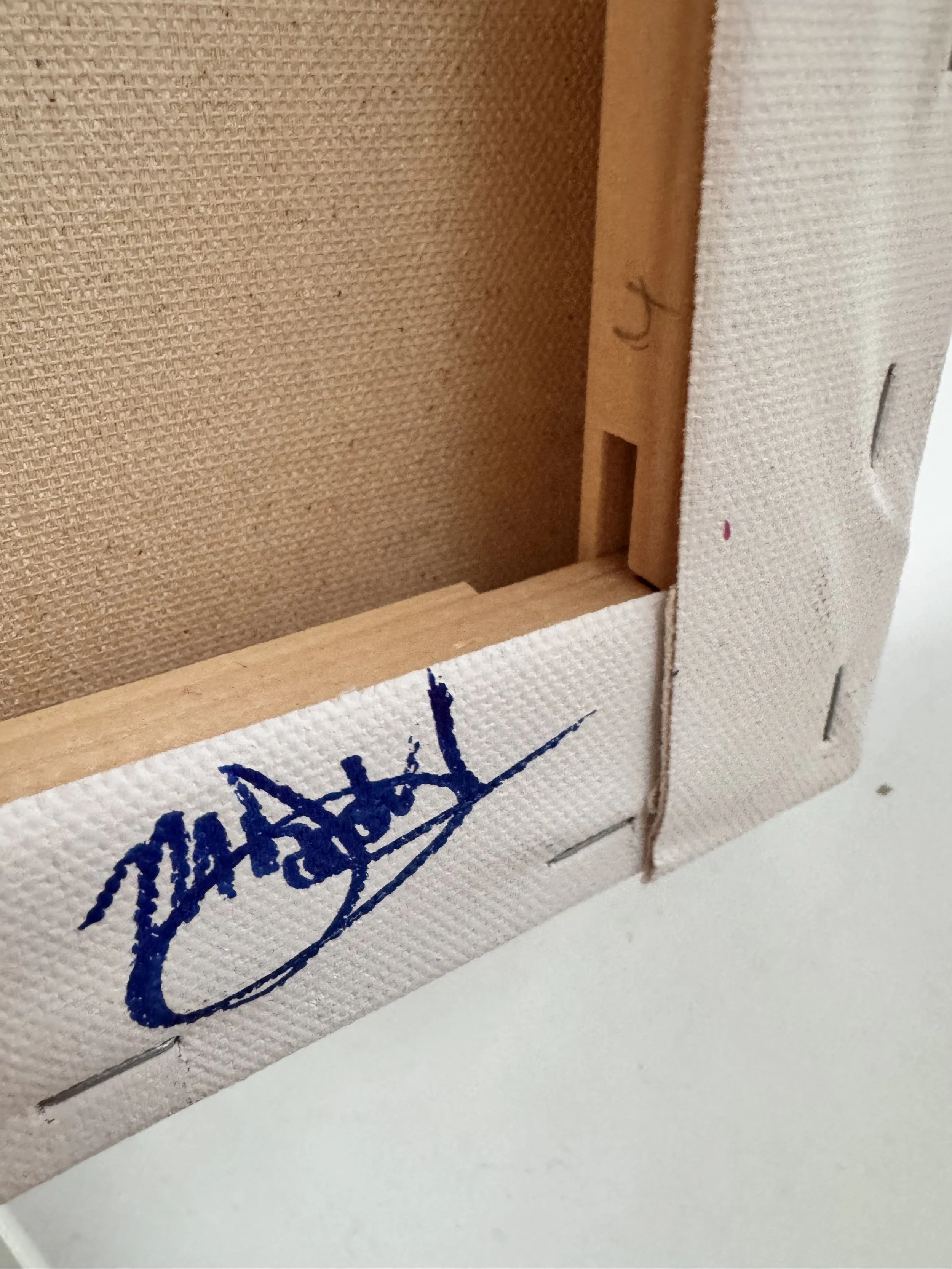 back of canvas 1.jpg