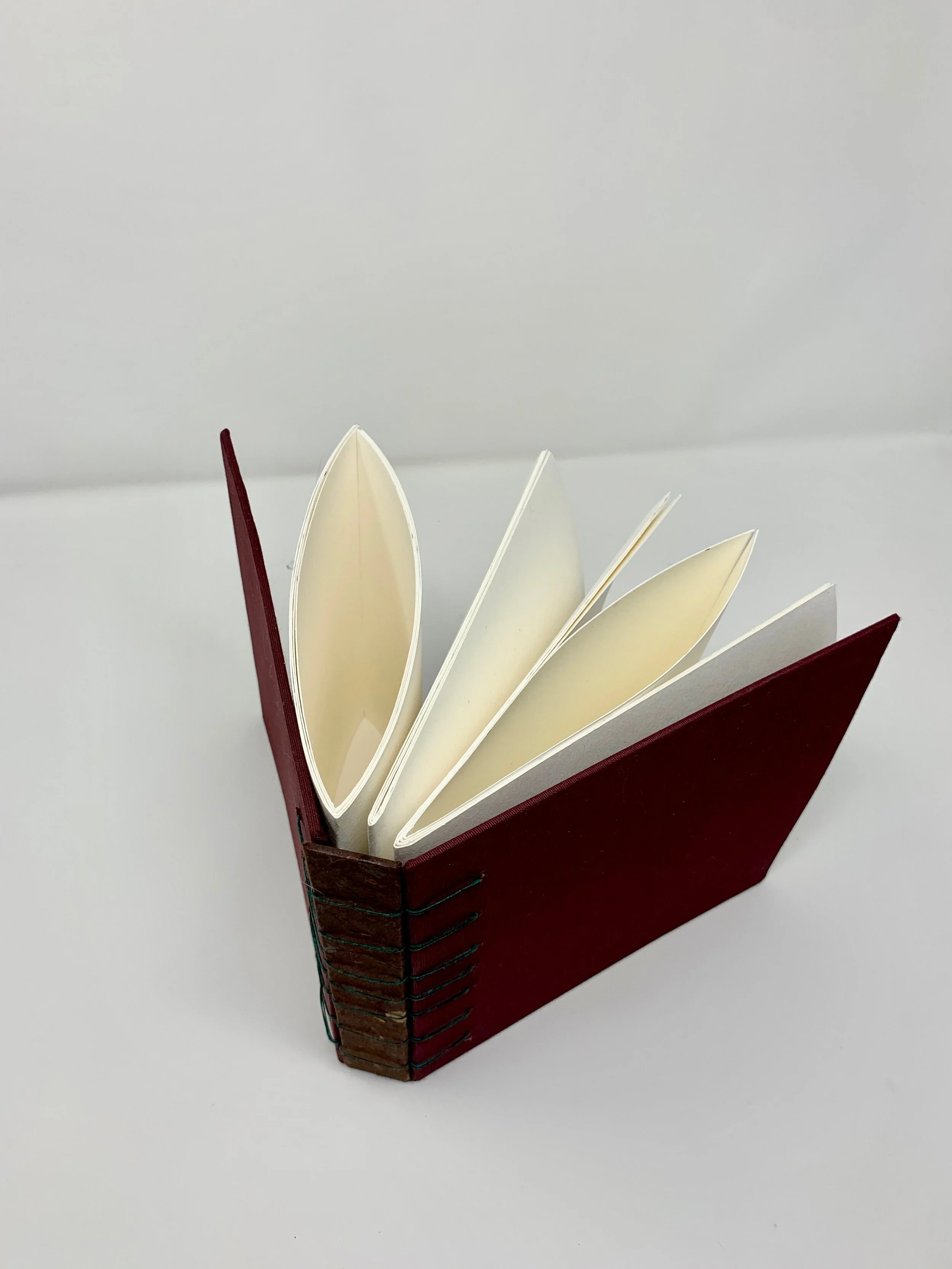 marron belgian binding (large)6.jpeg