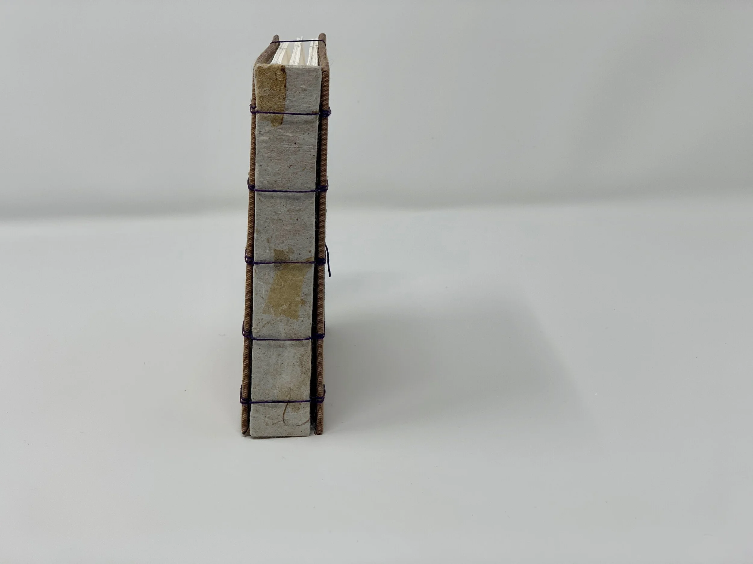 musk belgian binding with pressed spine4.jpeg