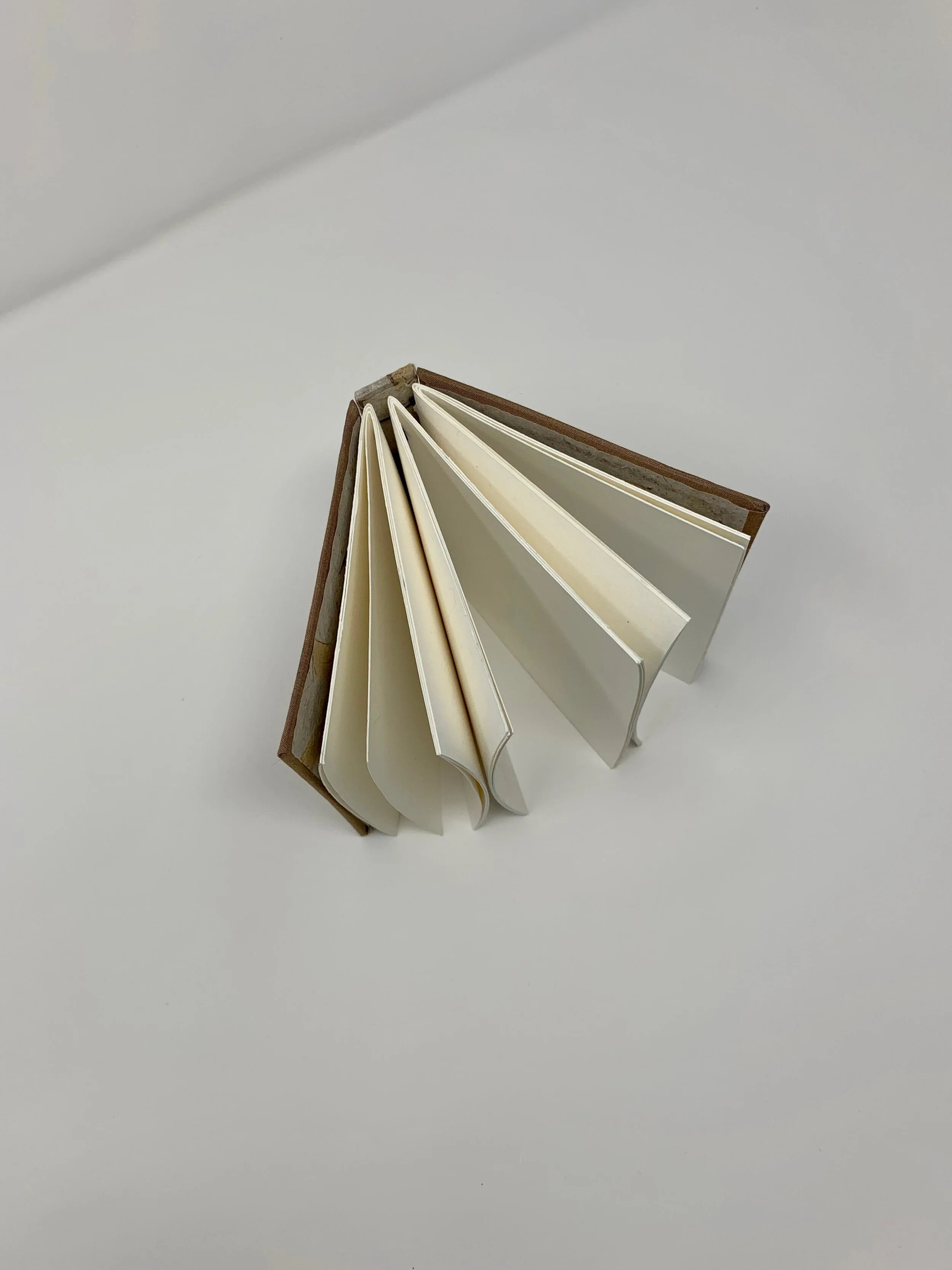 musk belgian binding with pressed spine7.jpeg