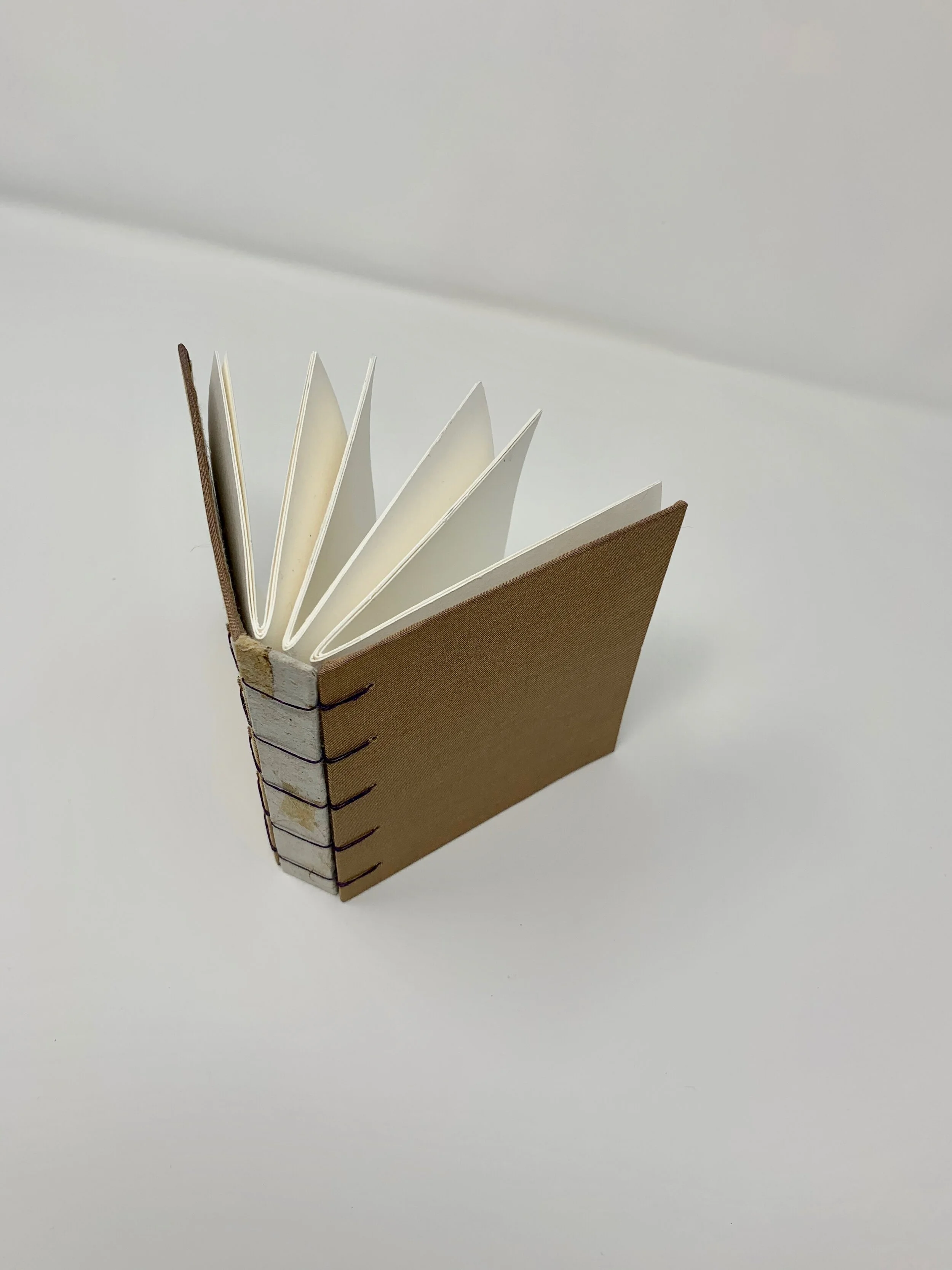 musk belgian binding with pressed spine9.jpeg