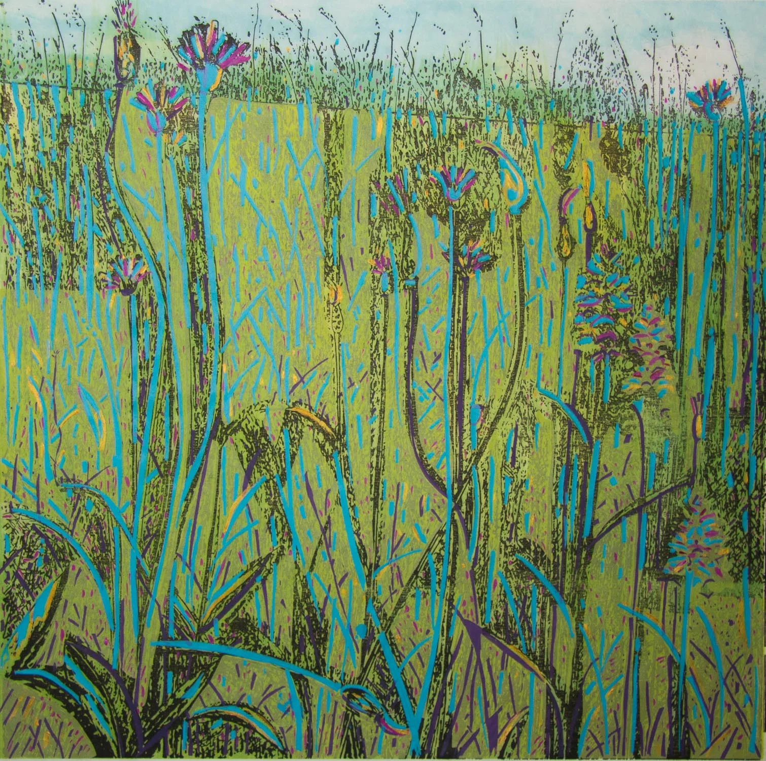 Kellie Miller : The Wonder Unseen