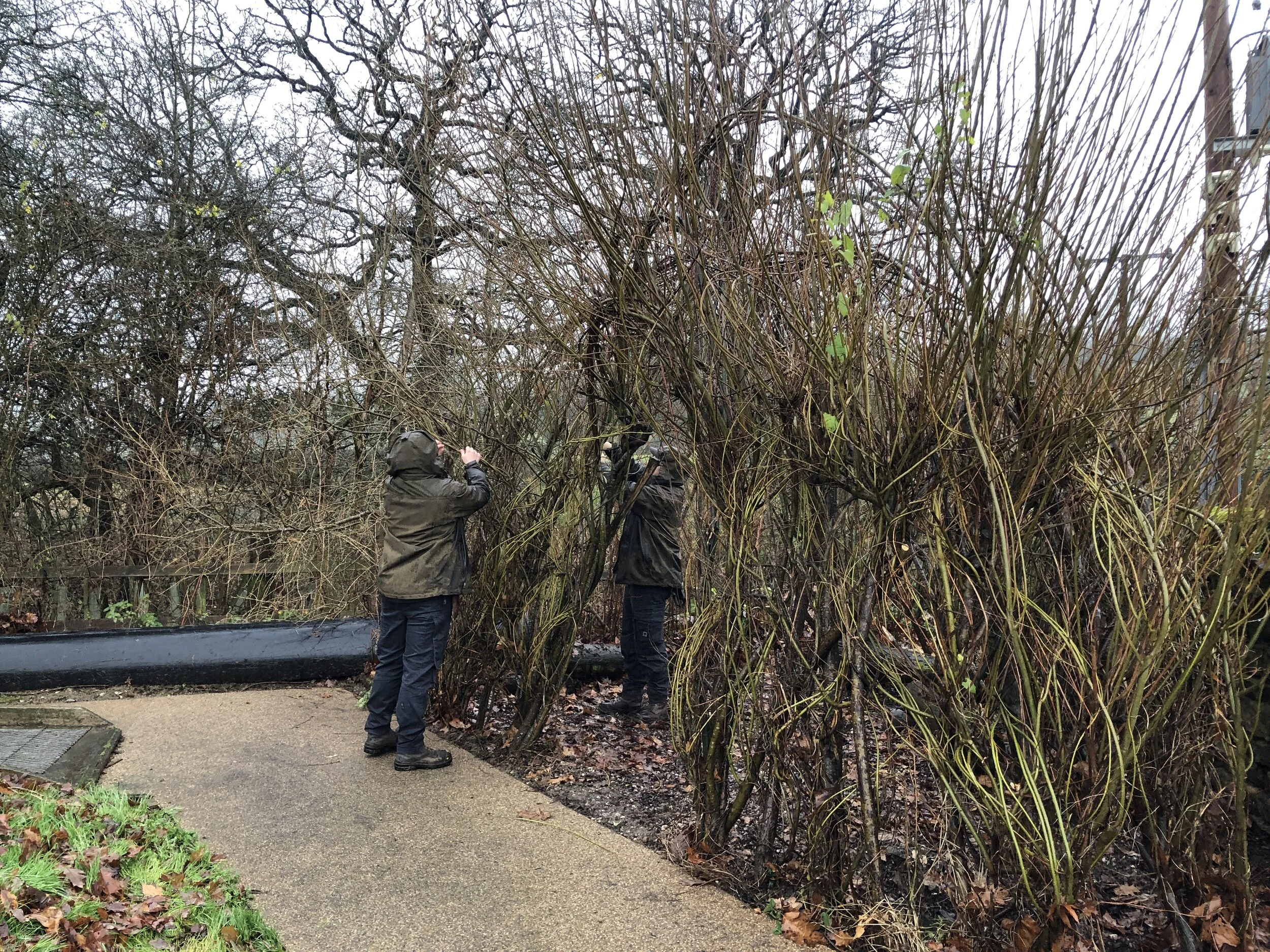 Volunteers at Dukes Barn 