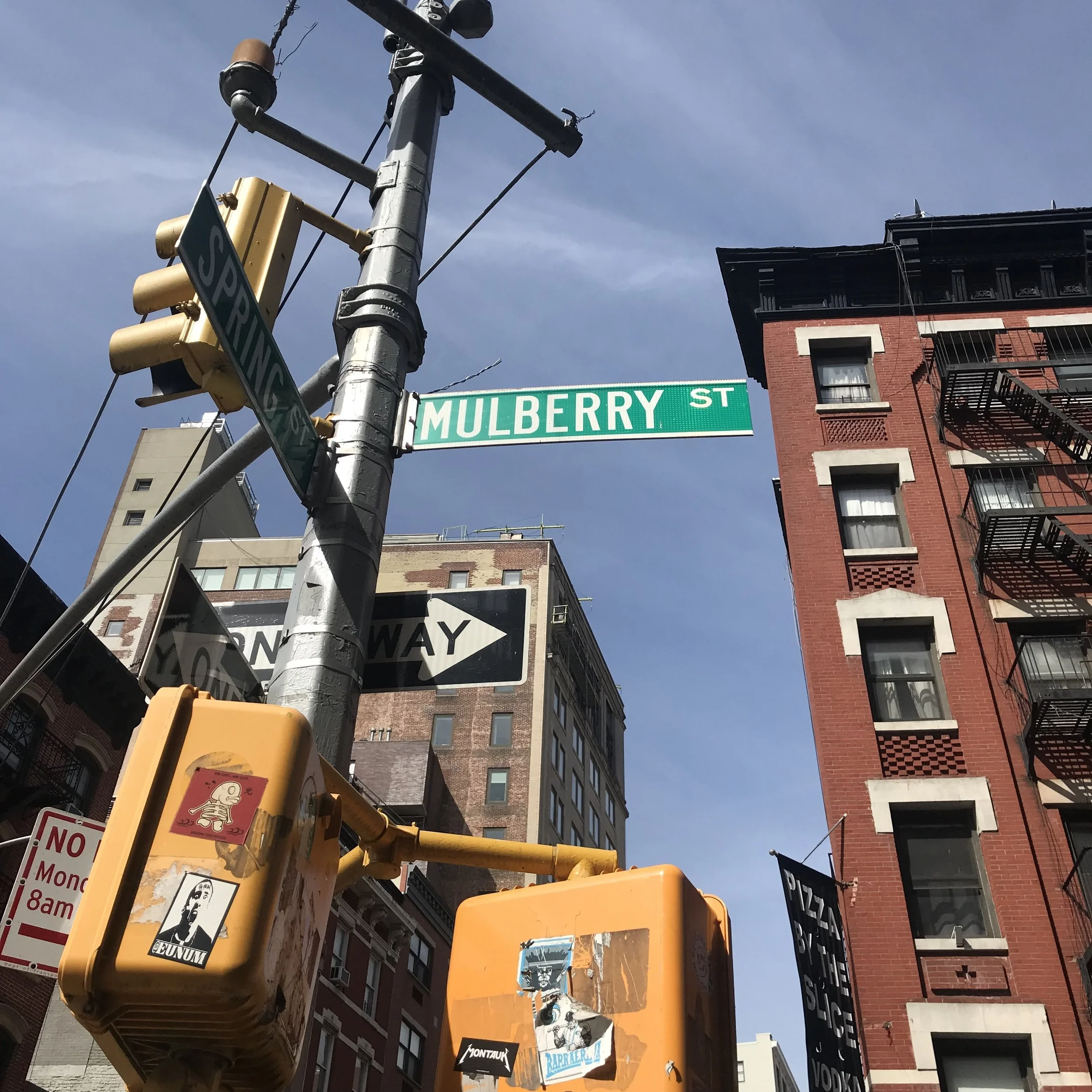 Thoughts from Mulberry Street