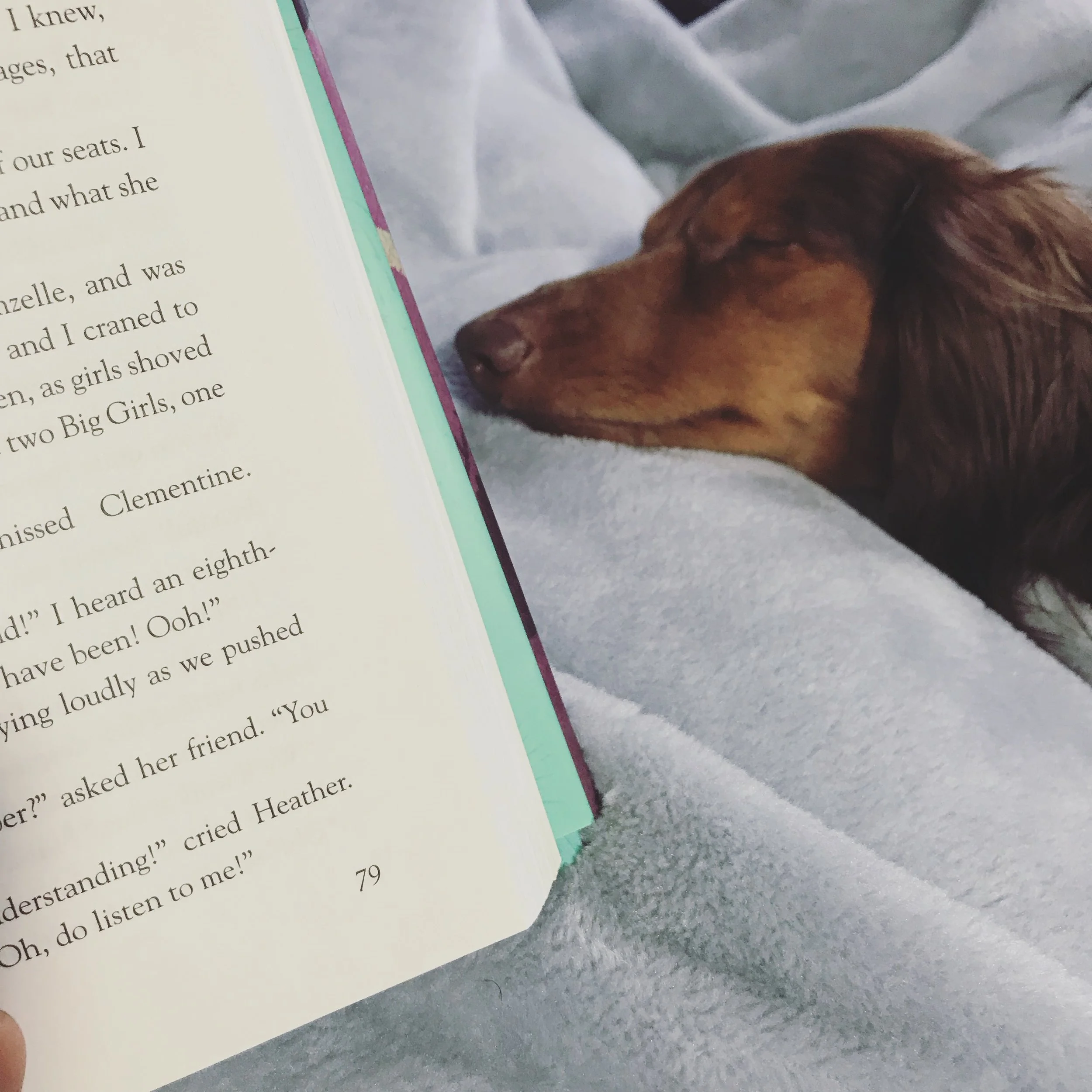 inspiration // #hopewriterlife