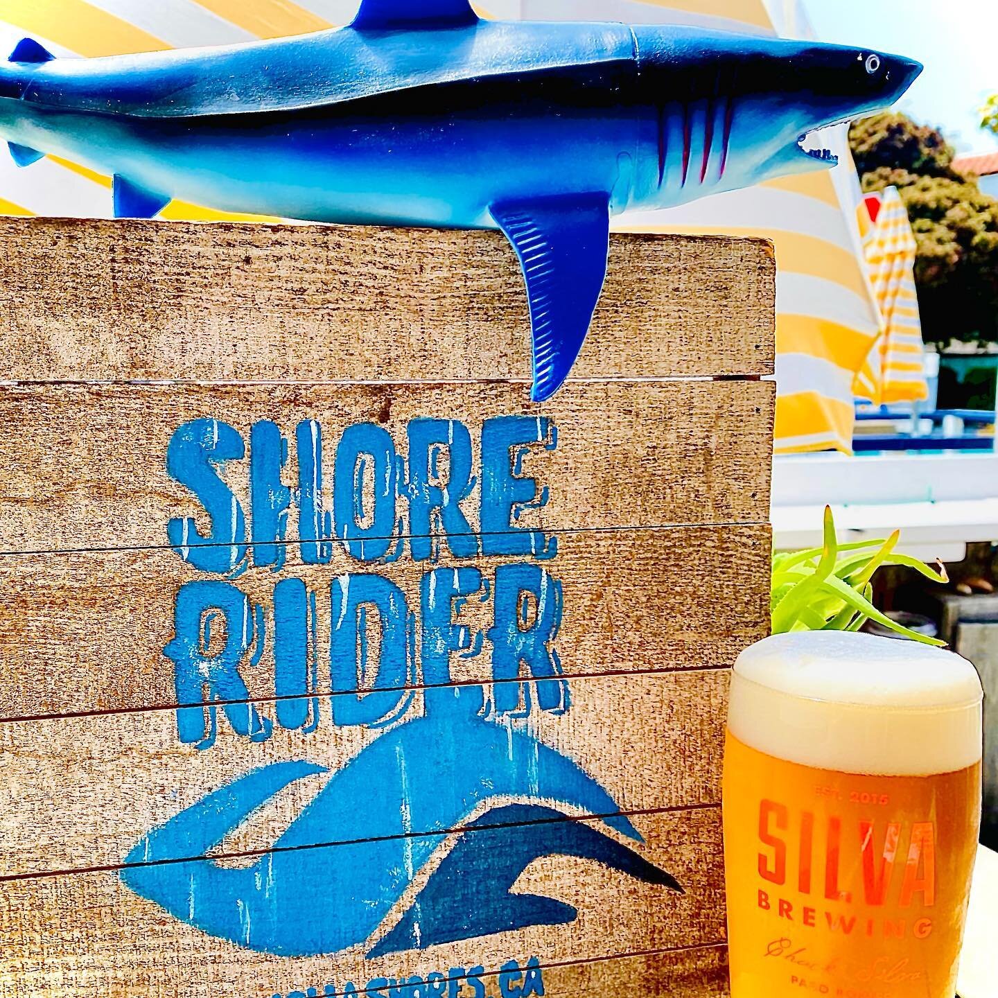 "Hey, beer lovers! 🍻 It's time to drink some shark-infested beer with @silvabrewing ! 🦈 Join us for pint night at the brewery and enjoy a jawsome selection of craft beers. Don't worry, we promise the only sharks you'll encounter are in our jok