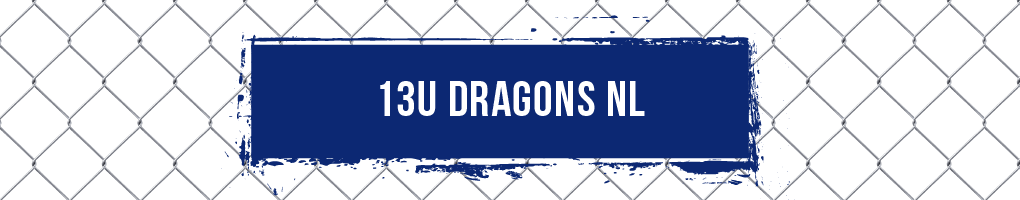 13U West Chester Dragons NL Baseball Team