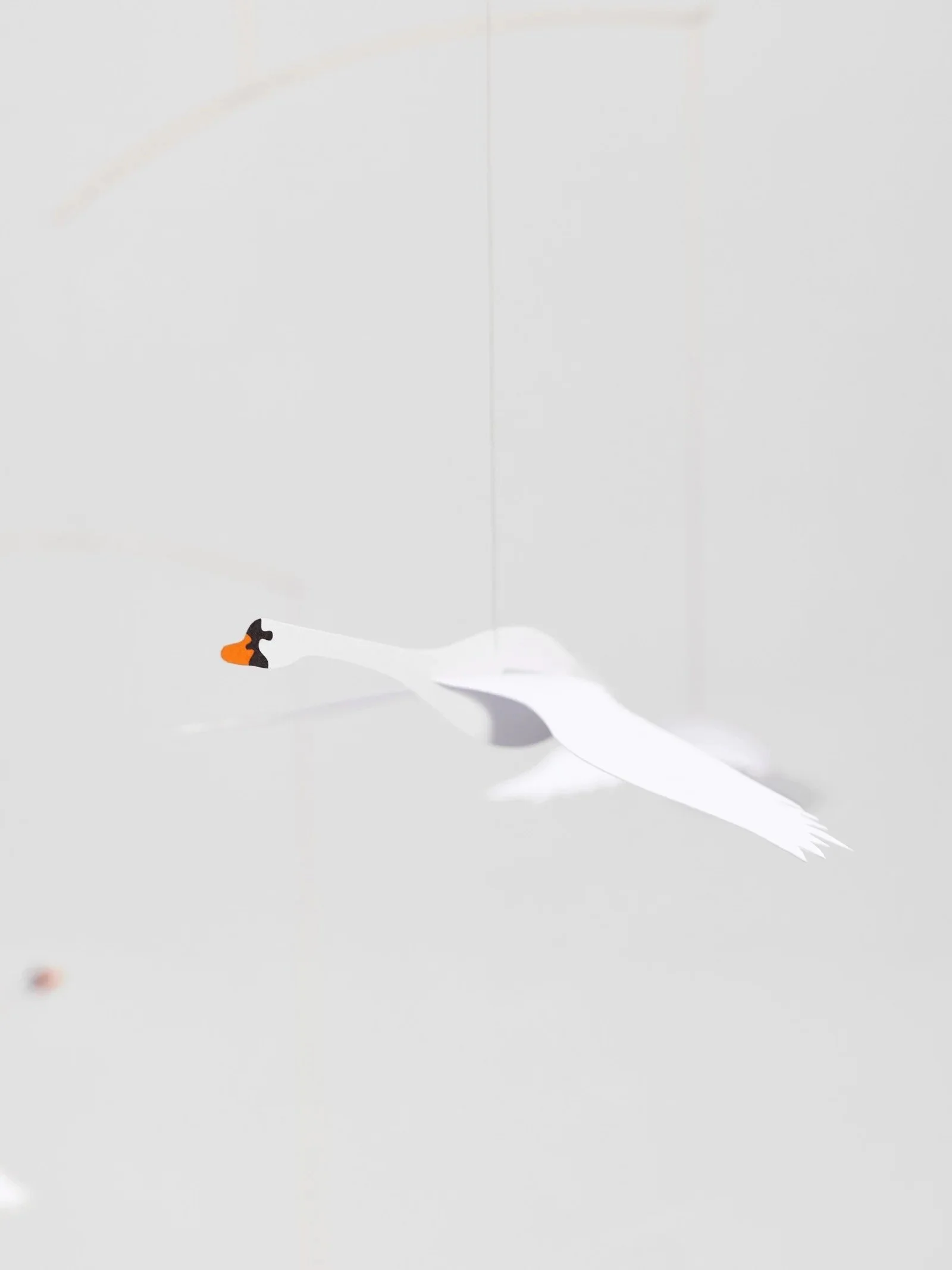 Scandinavian_Swans-4-zoom_74a8ca96-4111-4121-8d82-35672c131bd3.jpg.jpeg