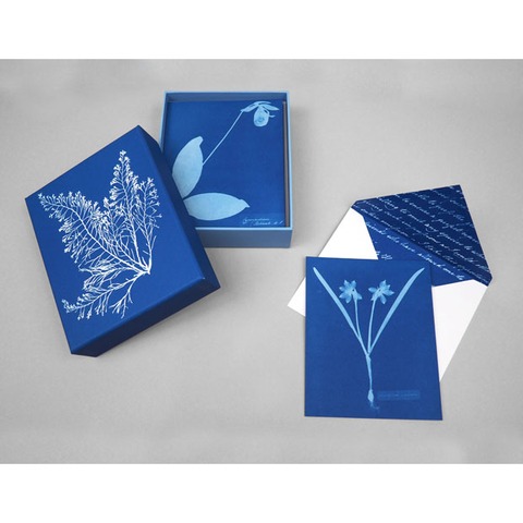 Anna Atkins Botanical Sunprint Notecard Set.png