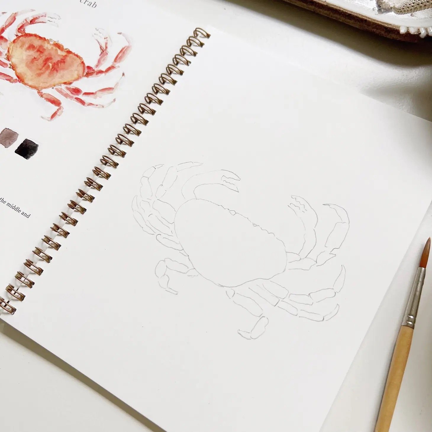 Seaside Watercolor Workbook